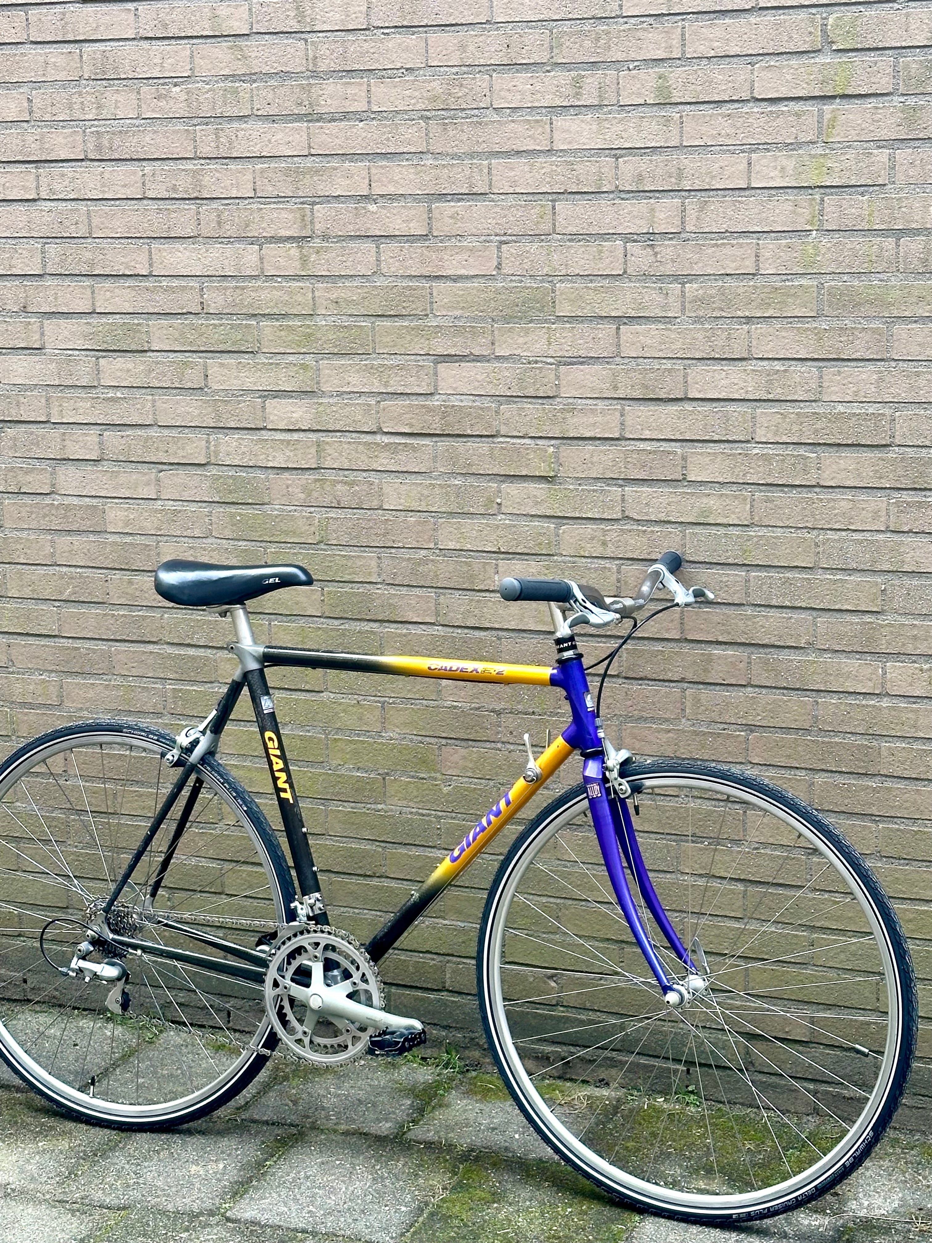 Giant Cadex Cfr2 57cm – Retro Bike Rotterdam