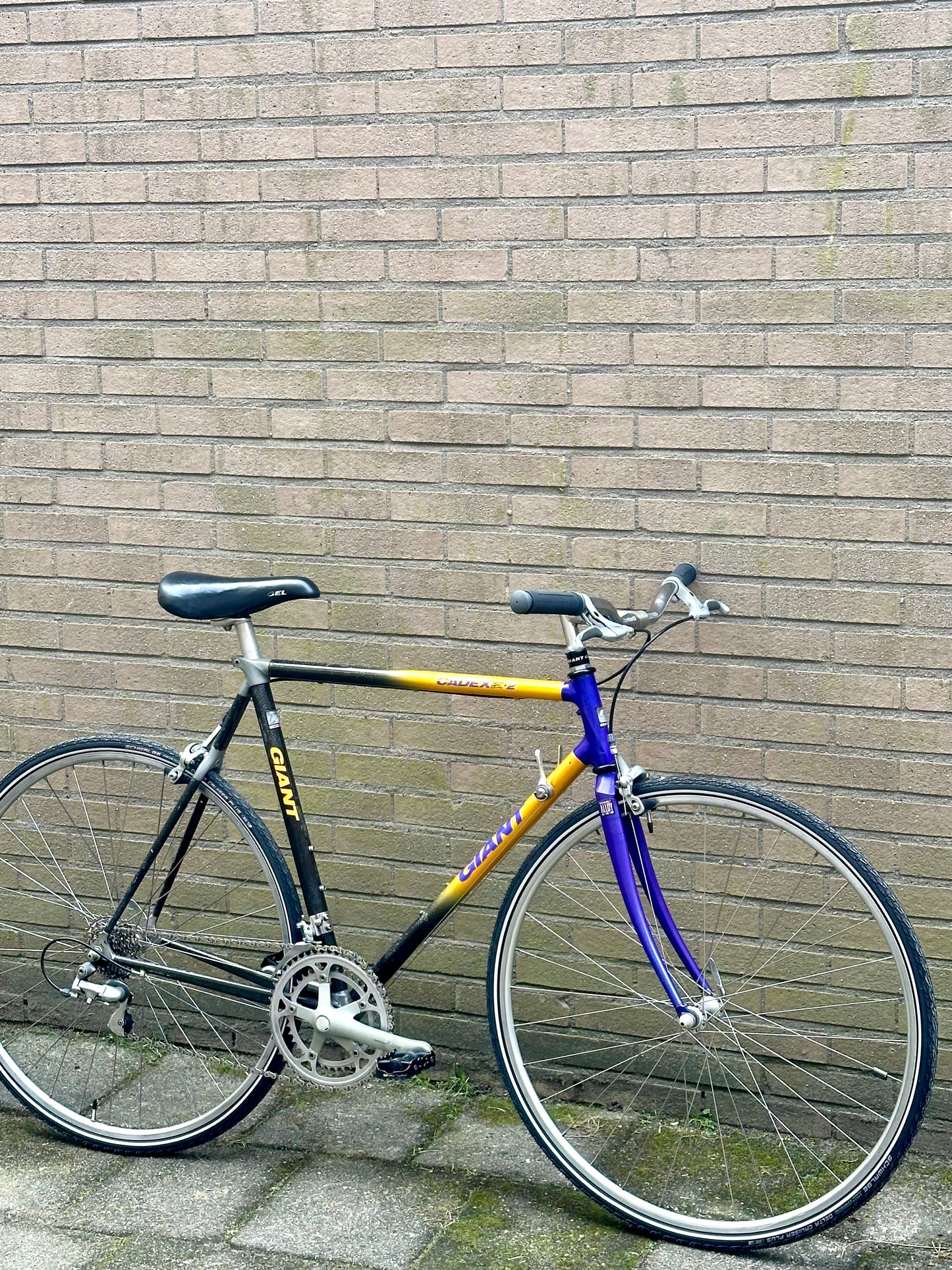 Giant Cadex Cfr2 57cm