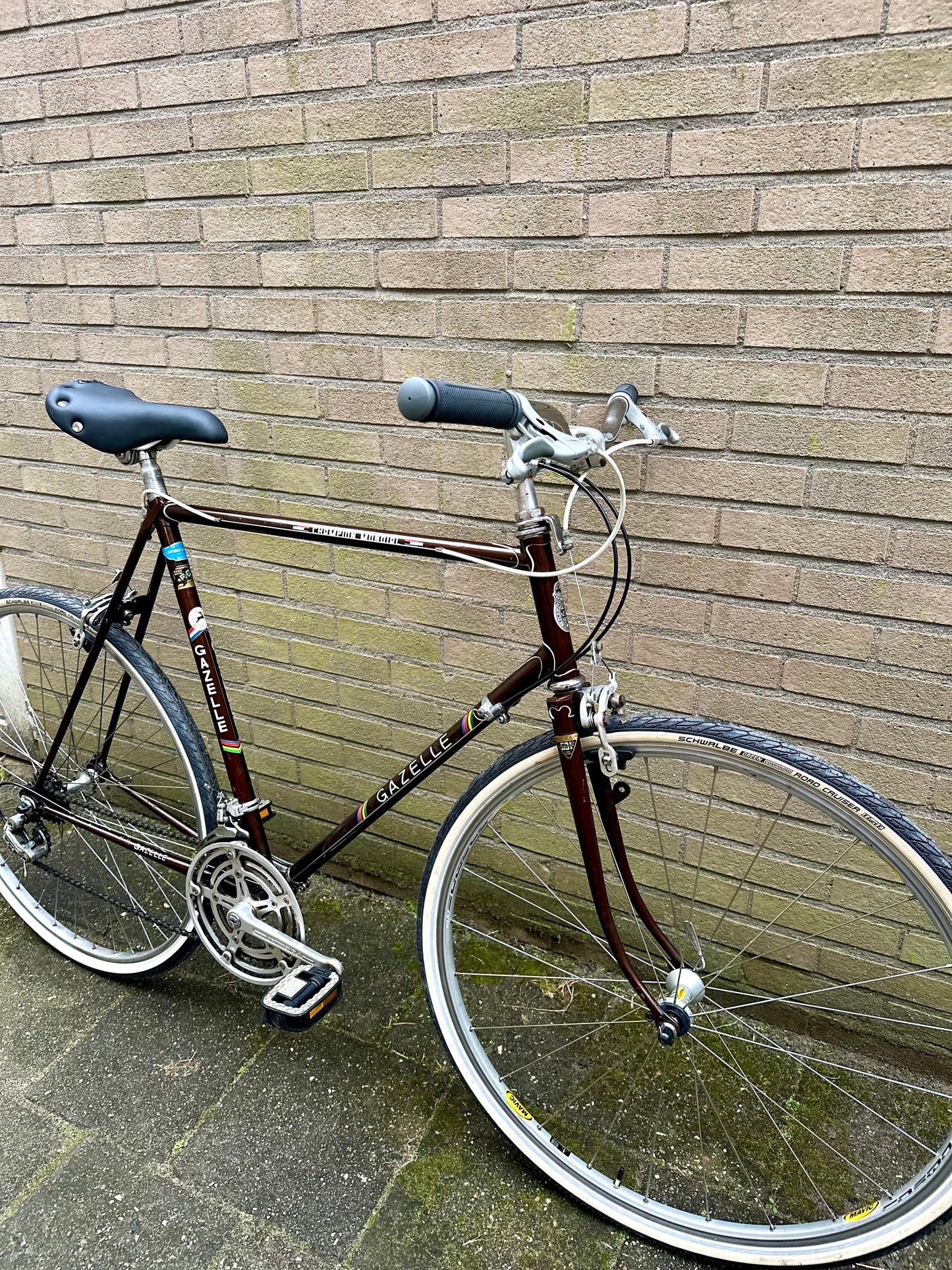 70's Gazelle Champion Mondial 60cm