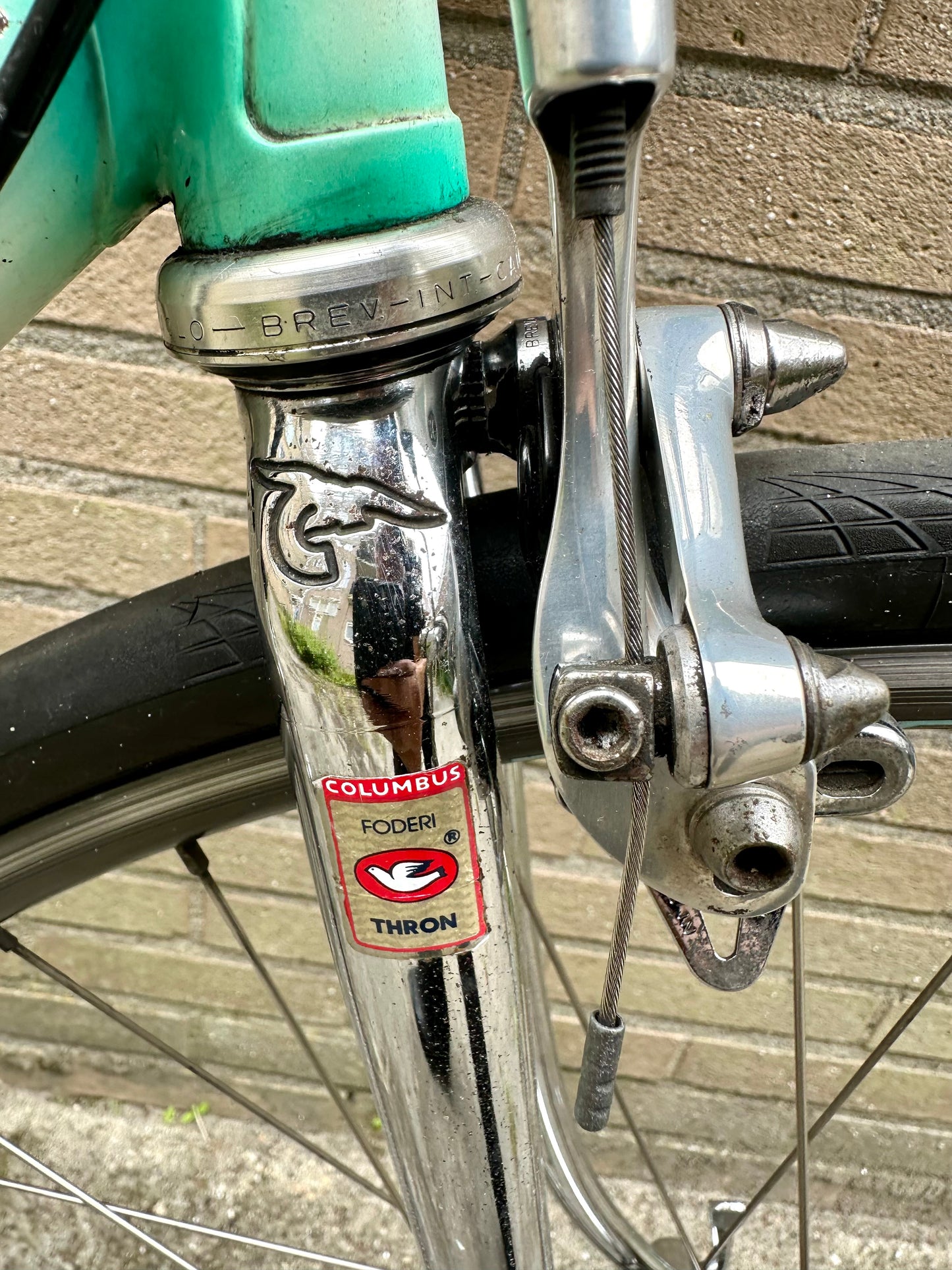 Concorde Columbus Thron 59cm