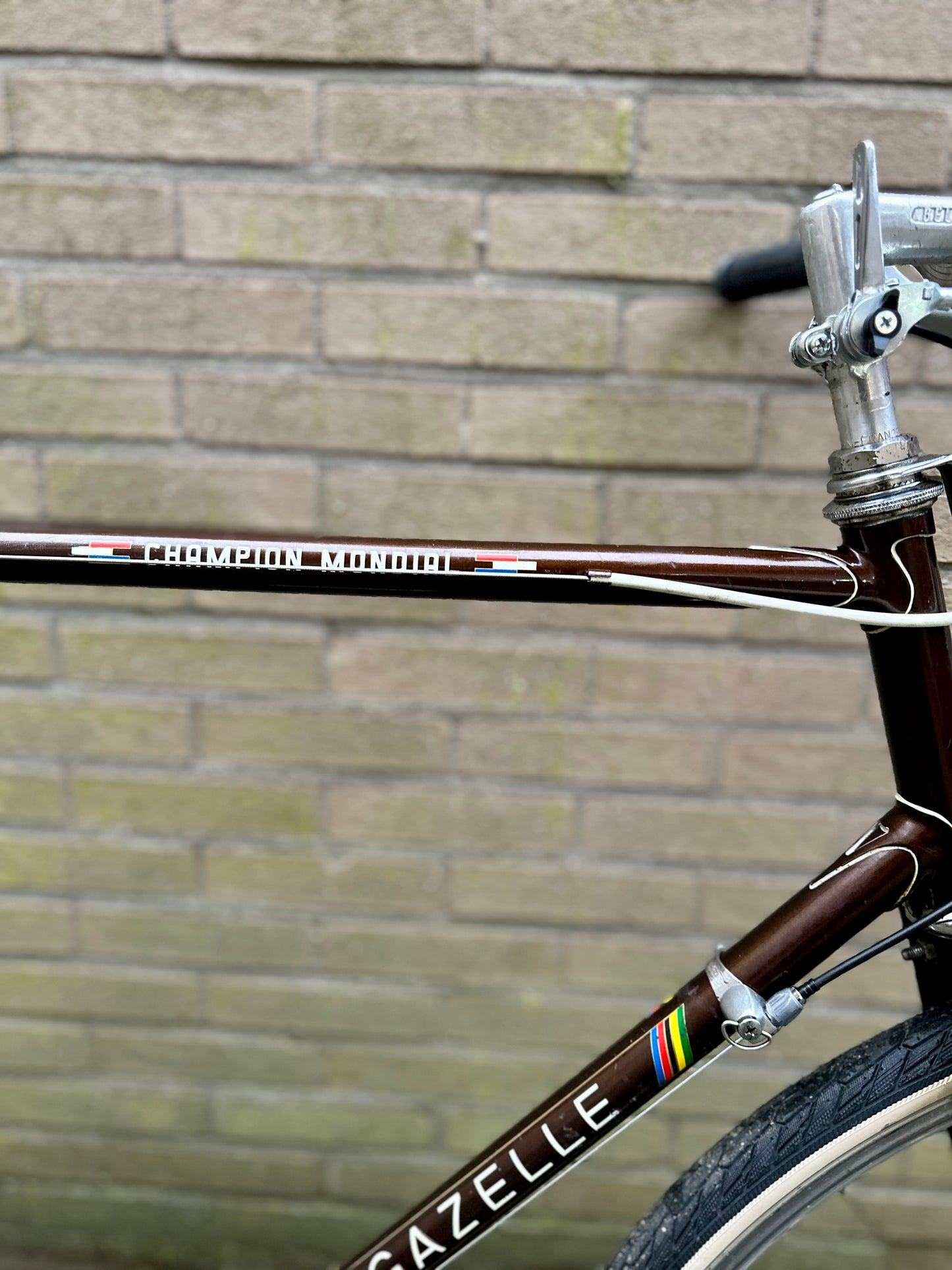 70's Gazelle Champion Mondial 60cm