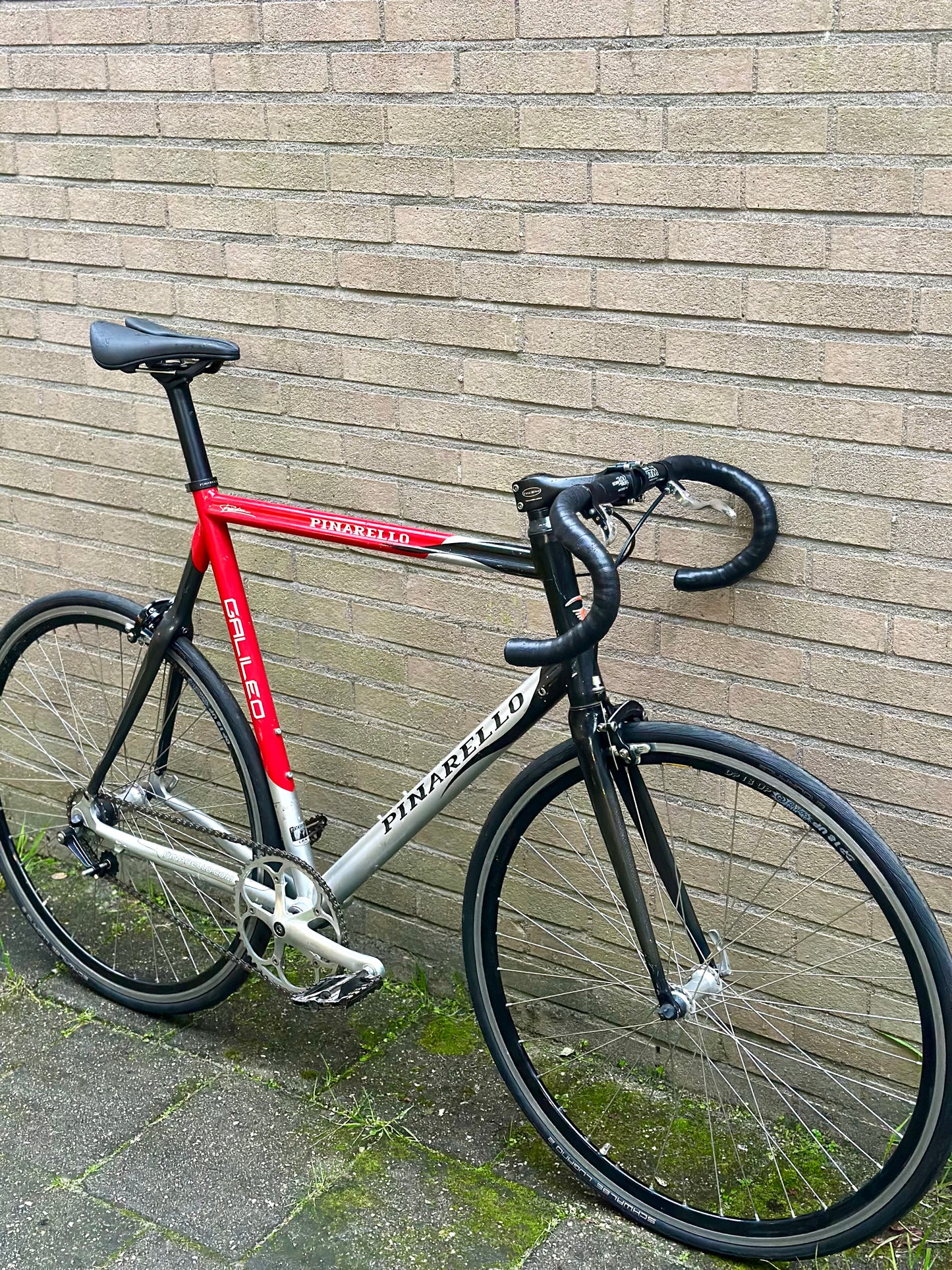 Pinarello Galileo single speed