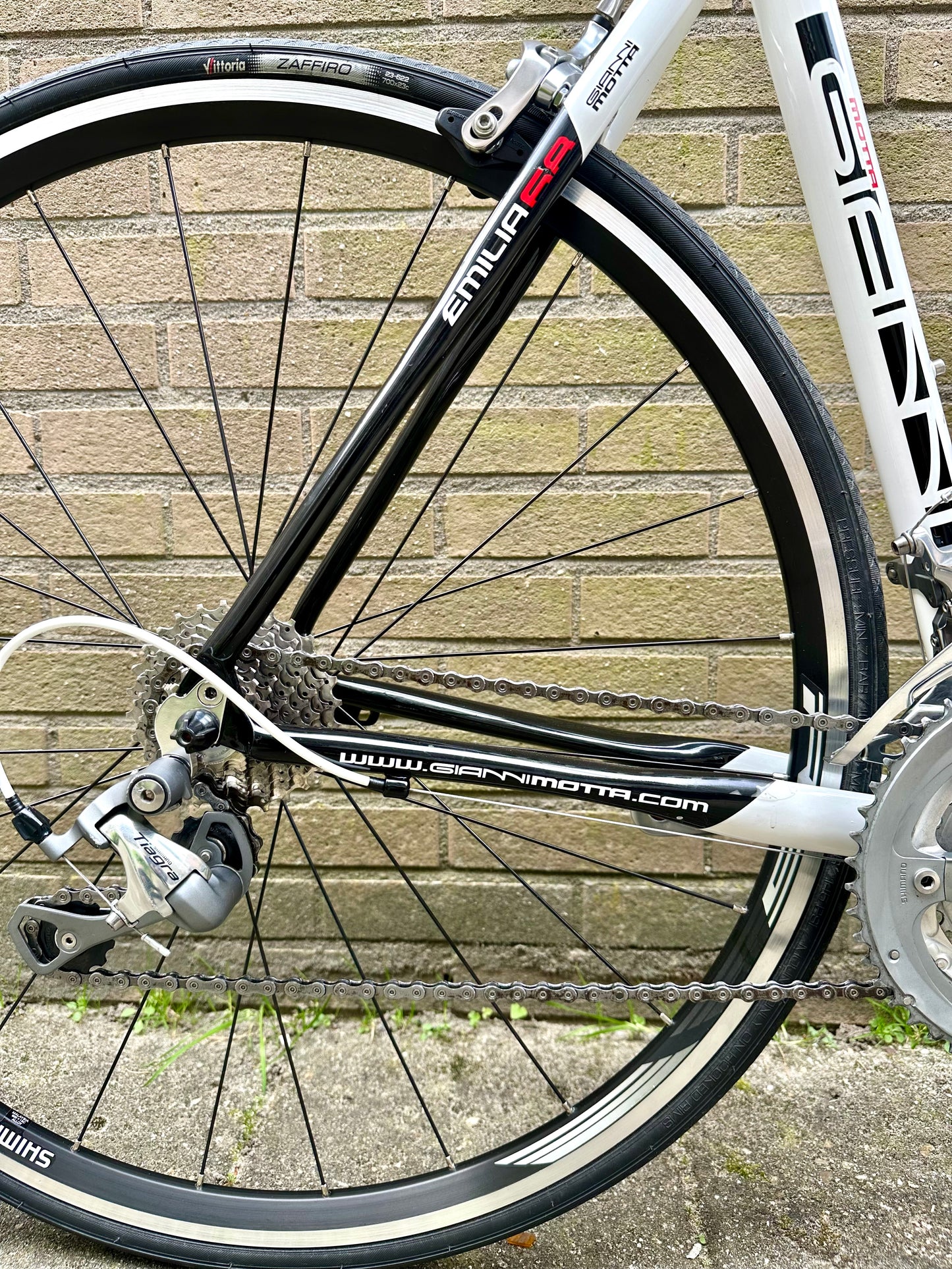 Giani Motta 56cm