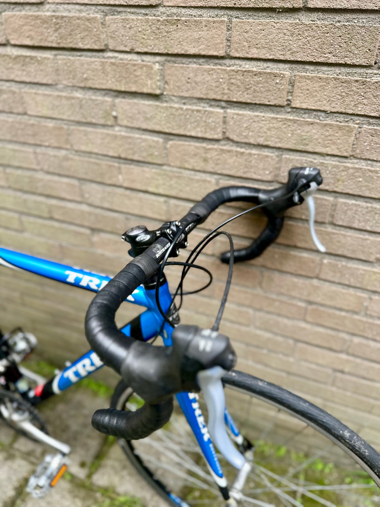 Trek Domane 56cm