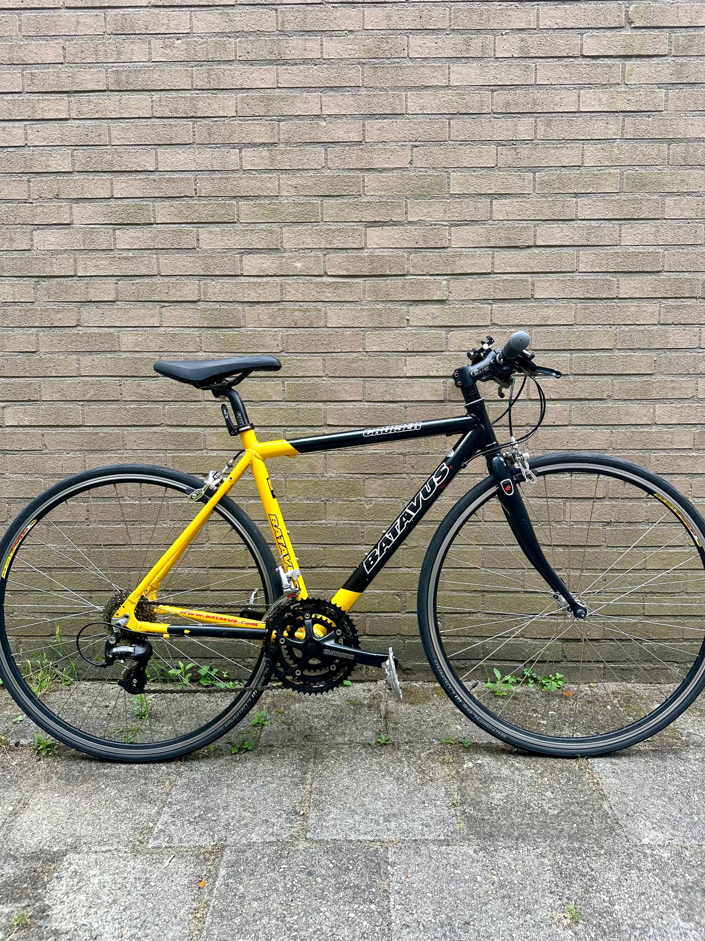 Batavus Cruiser 50cm