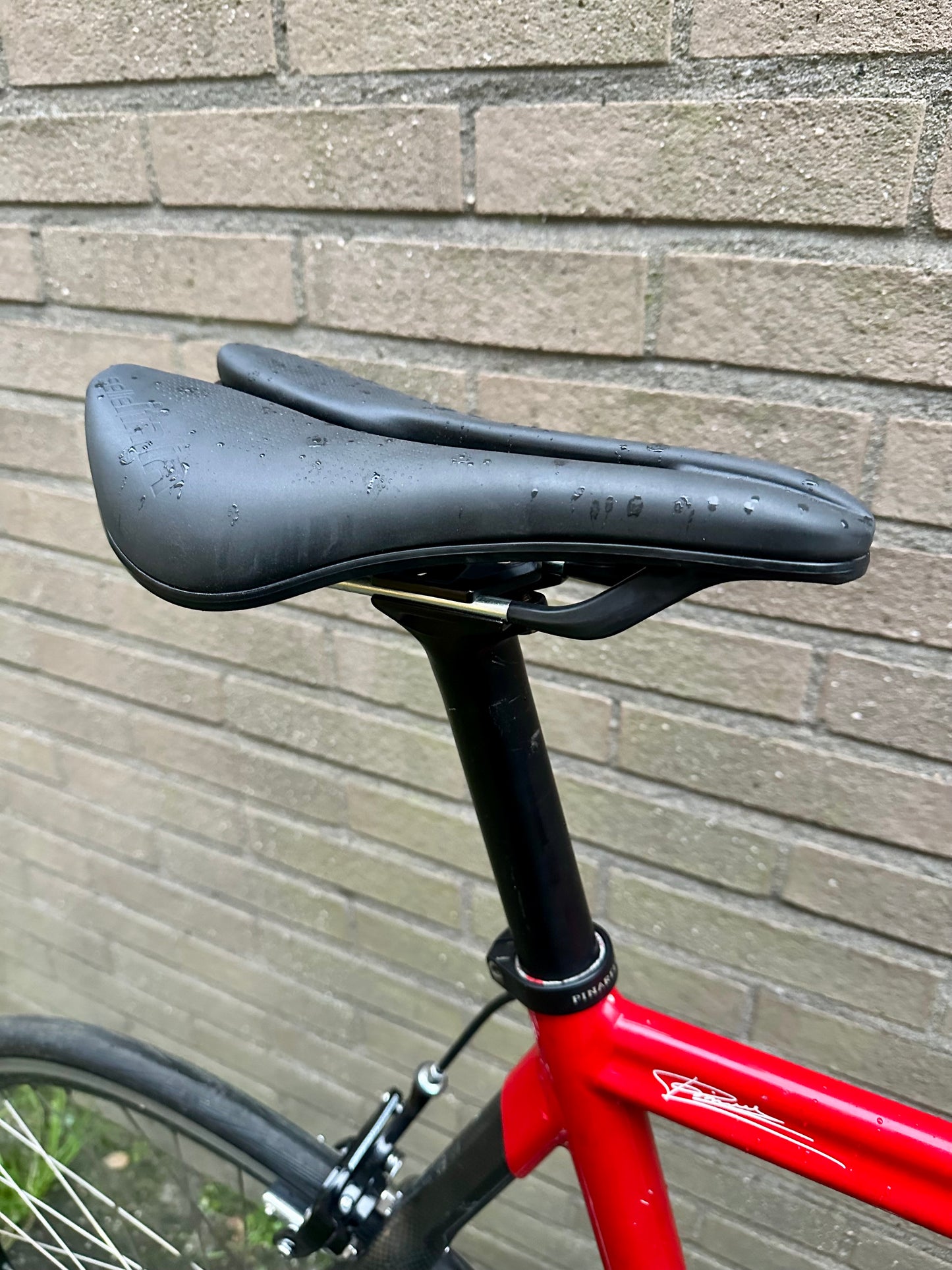 Pinarello Galileo single speed