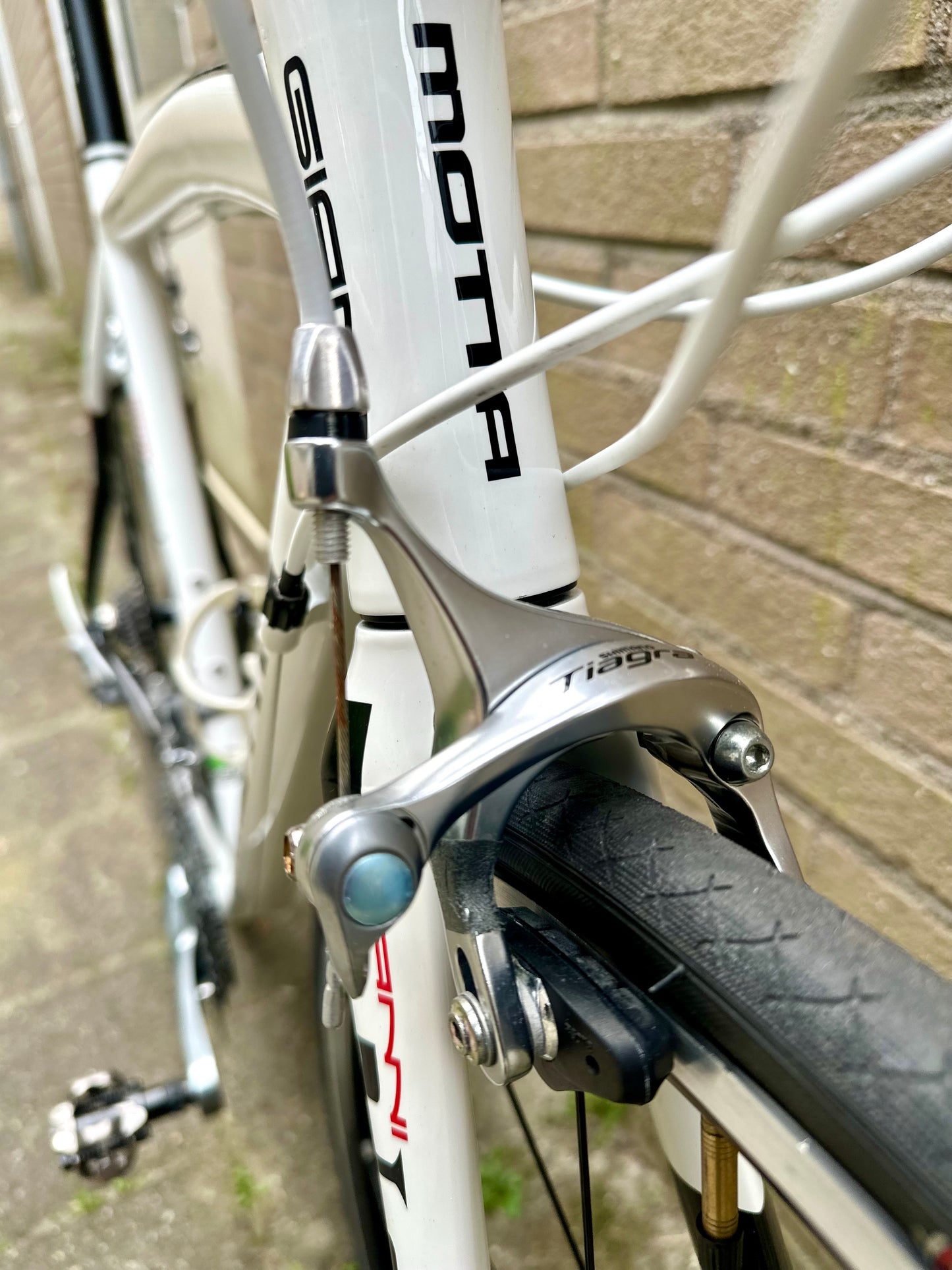 Giani Motta 56cm