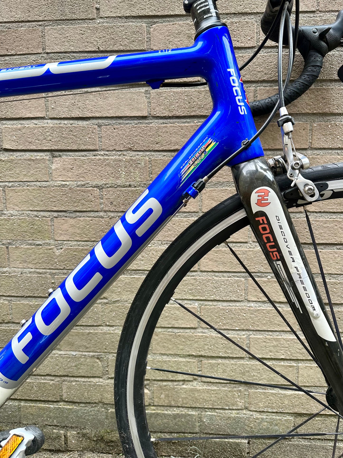 Focus Izalco Expert 58cm Campagnolo Chorus
