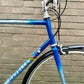 Gazelle Trim Trophy 60cm
