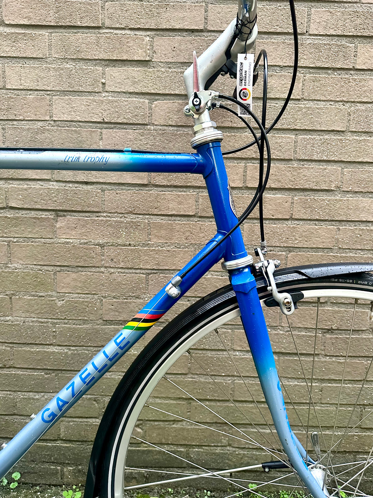 Gazelle Trim Trophy 60cm
