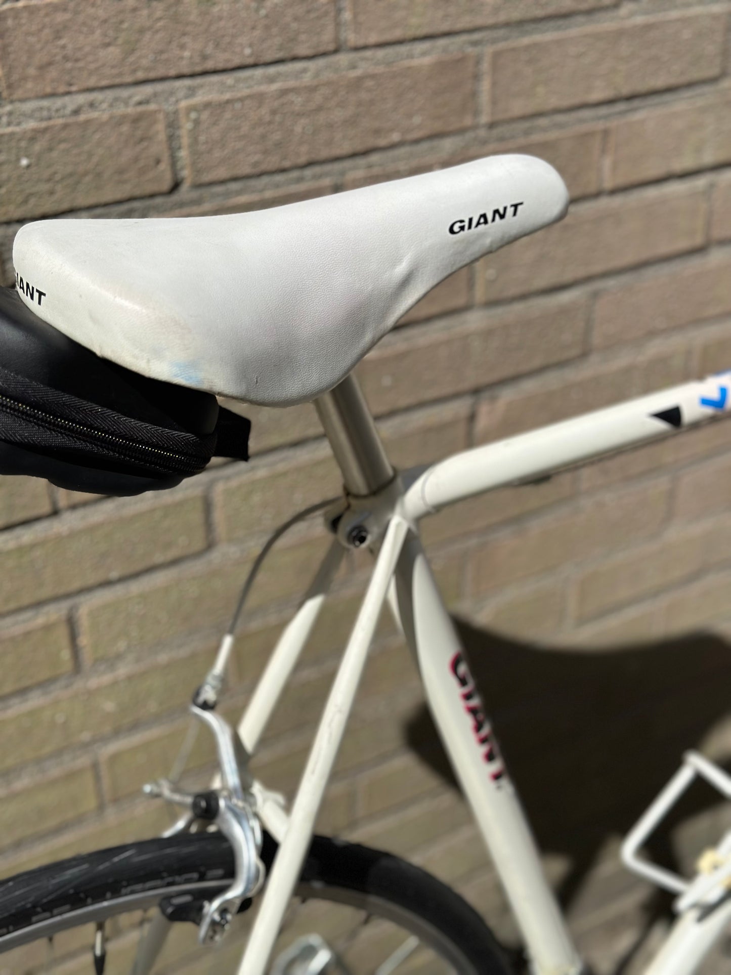 Giant Speeder 58cm