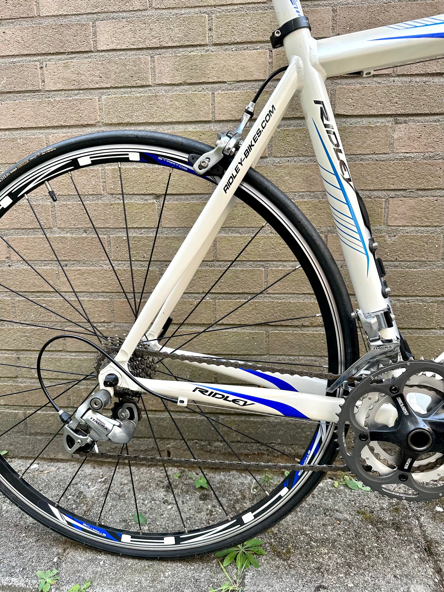 Ridley Eos 57cm