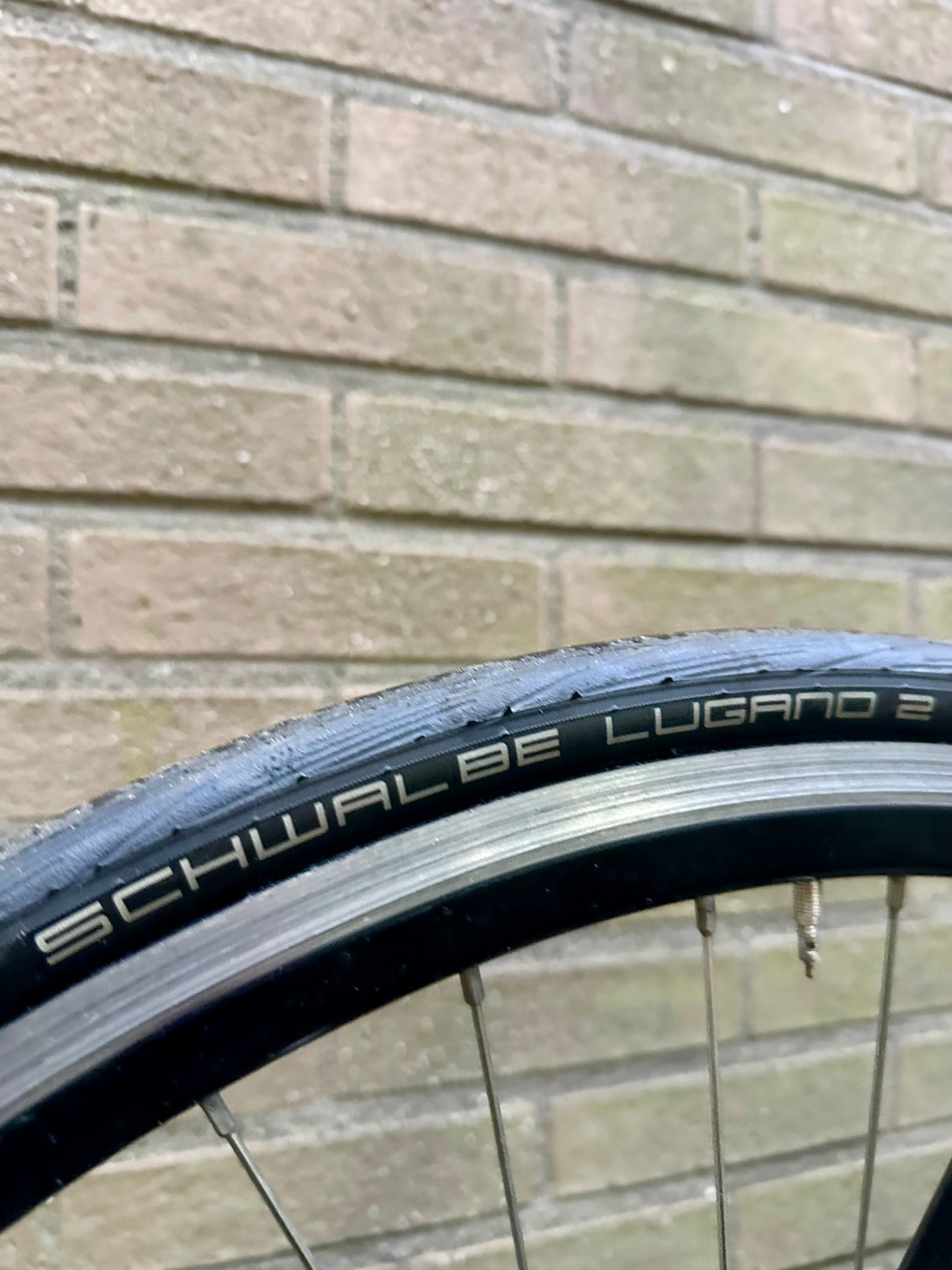 Pinarello Galileo single speed