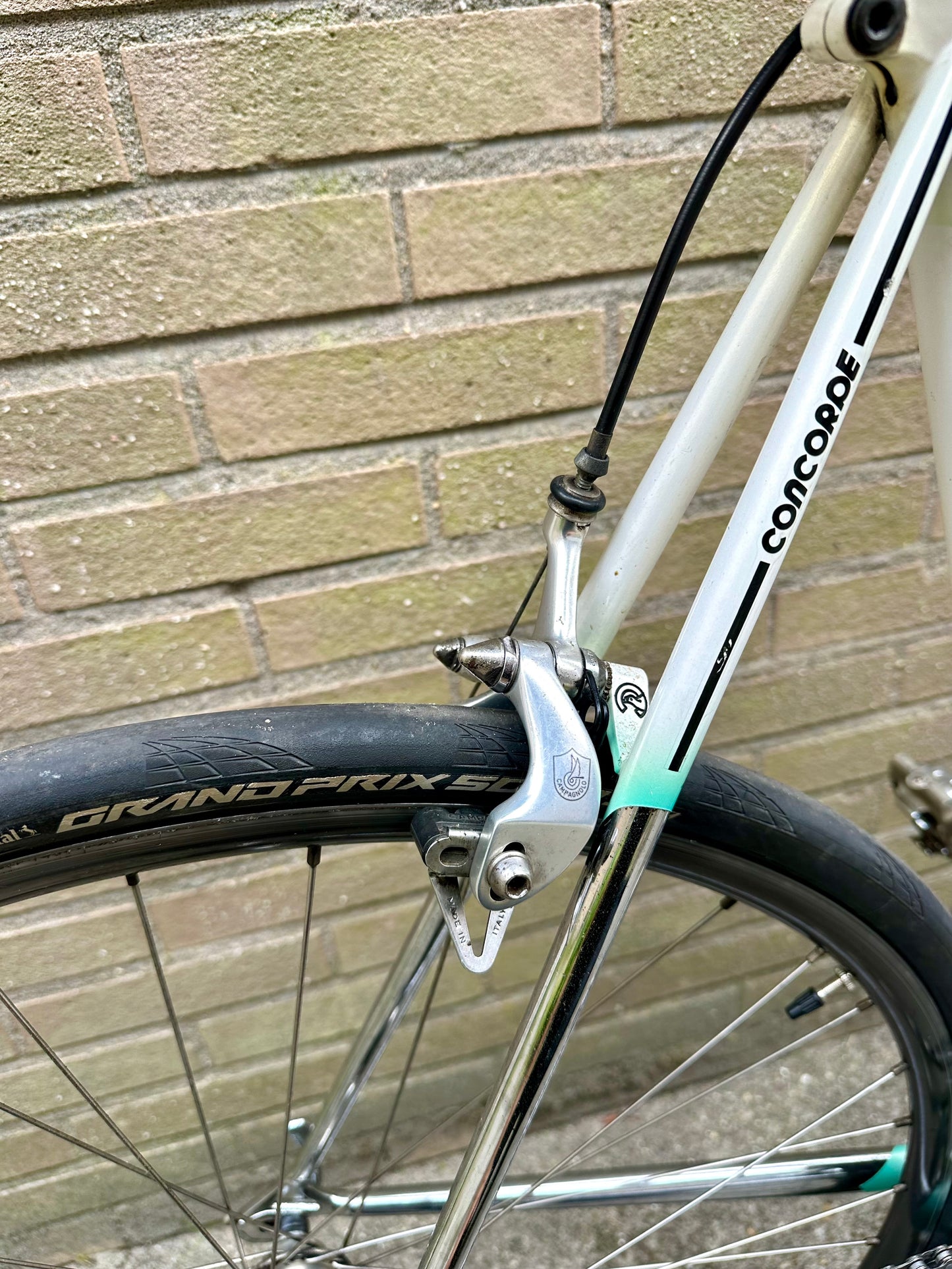 Concorde Columbus Thron 59cm