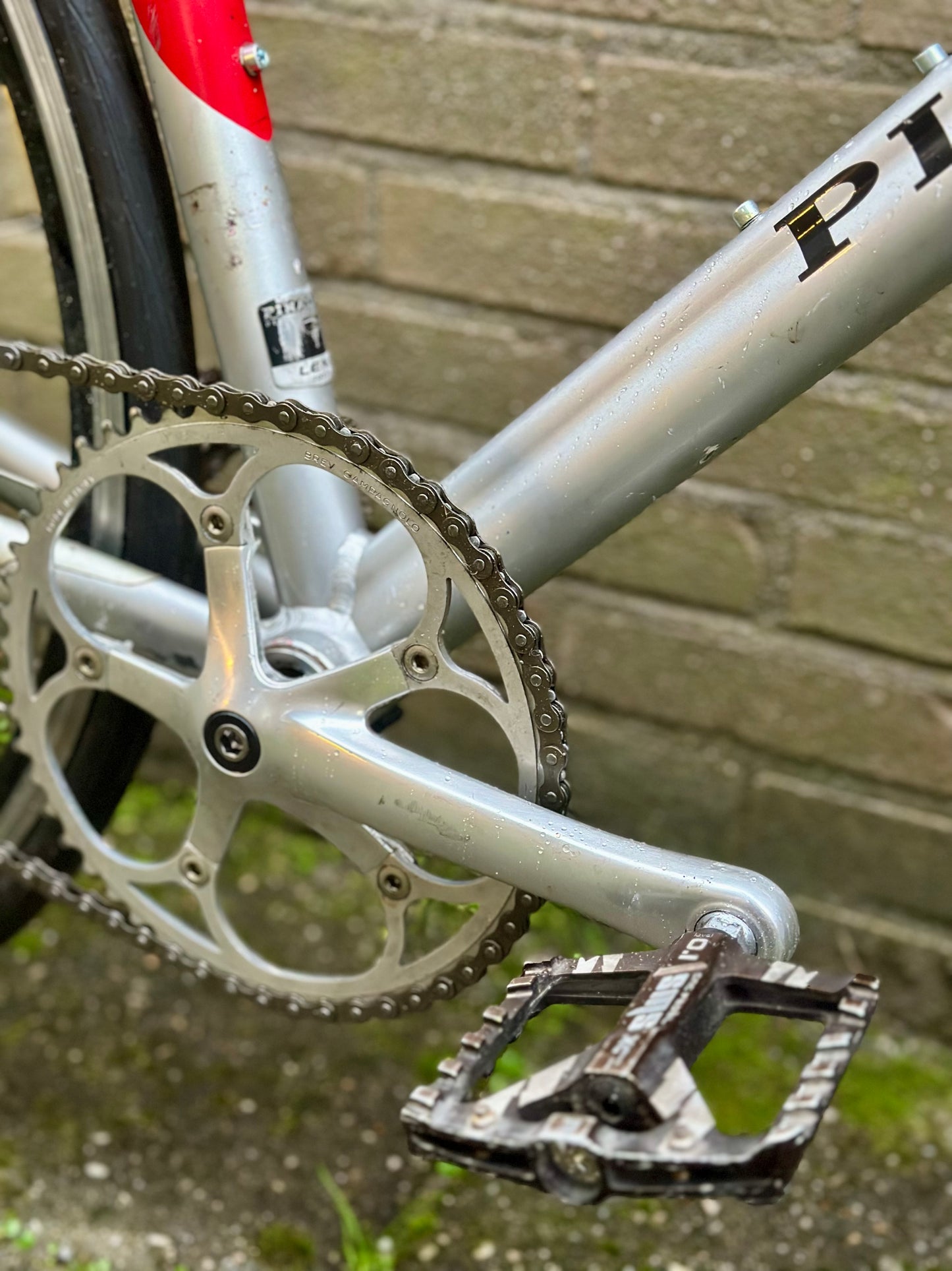 Pinarello Galileo single speed