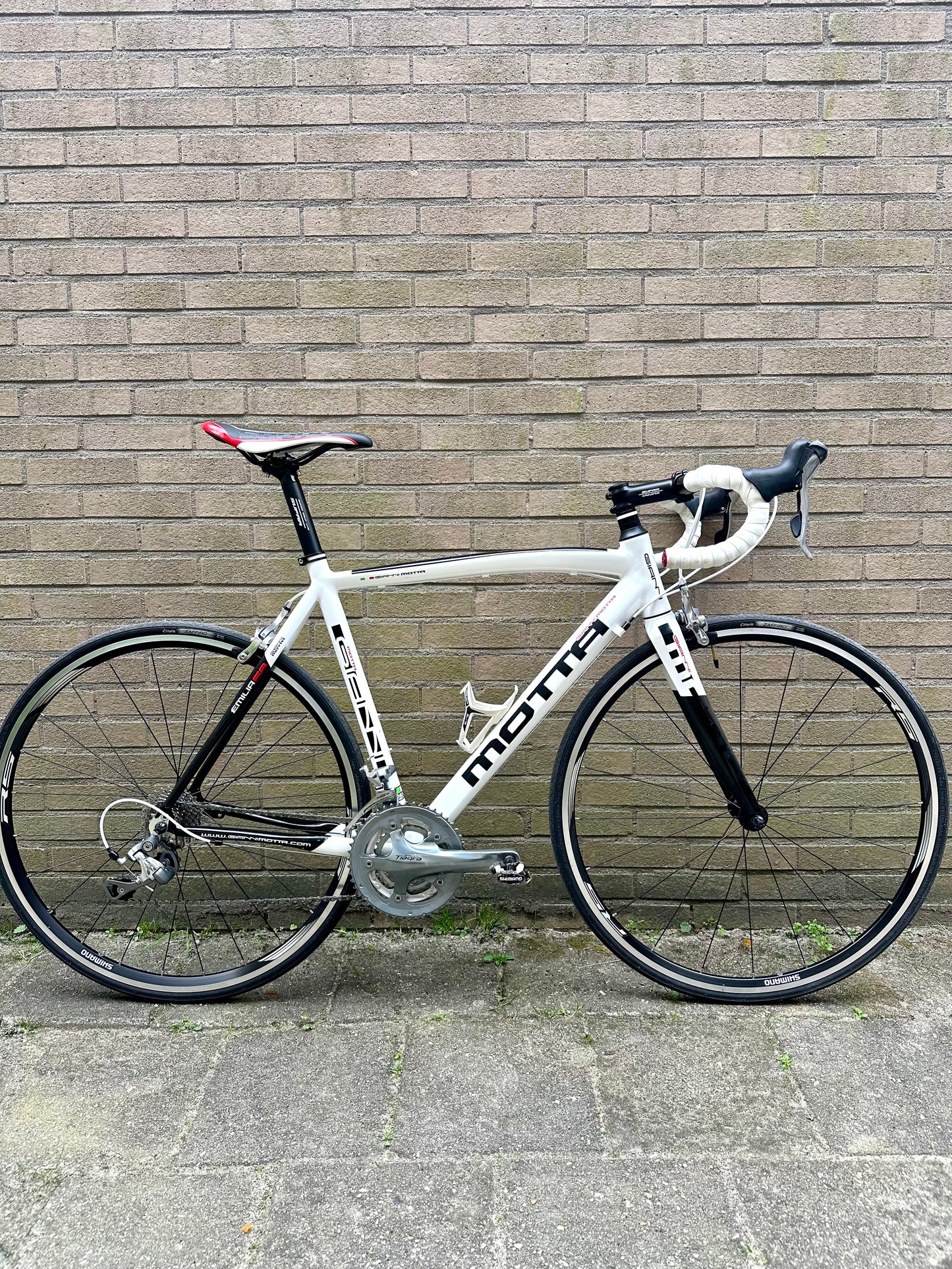 Giani Motta 56cm