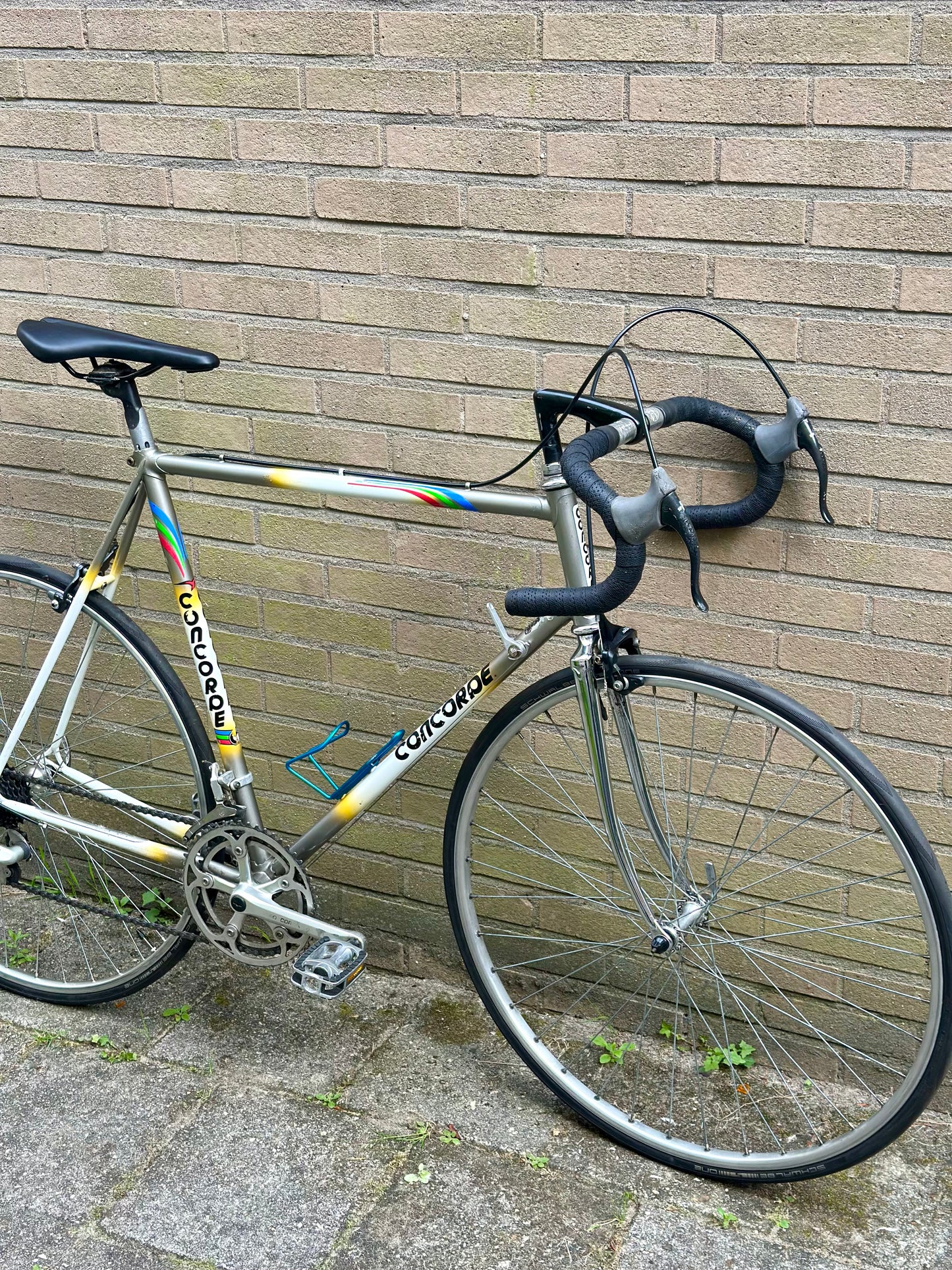 Concorde 60cm