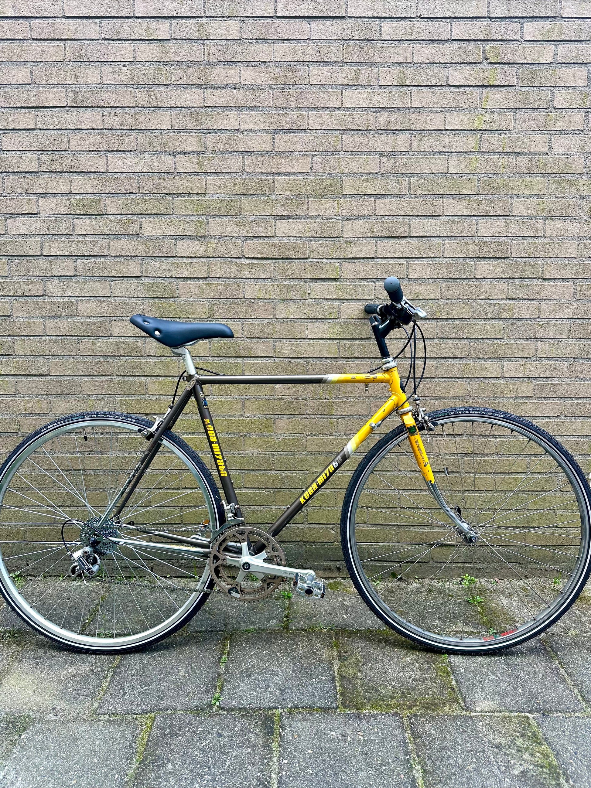 Koga Miyata Superwinner 54cm – Retro Bike Rotterdam