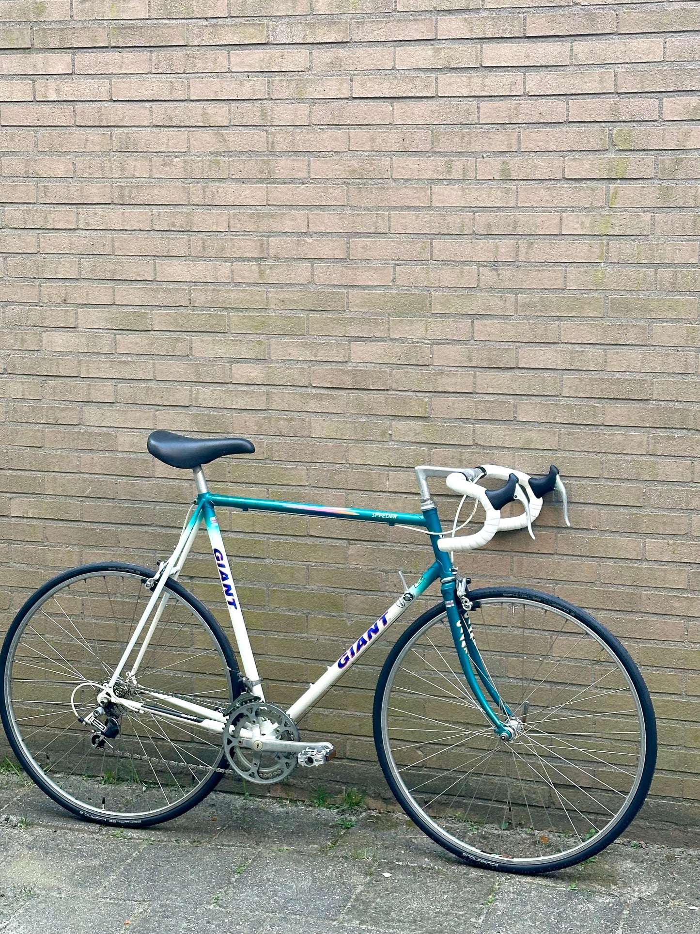 Giant Speeder 63cm