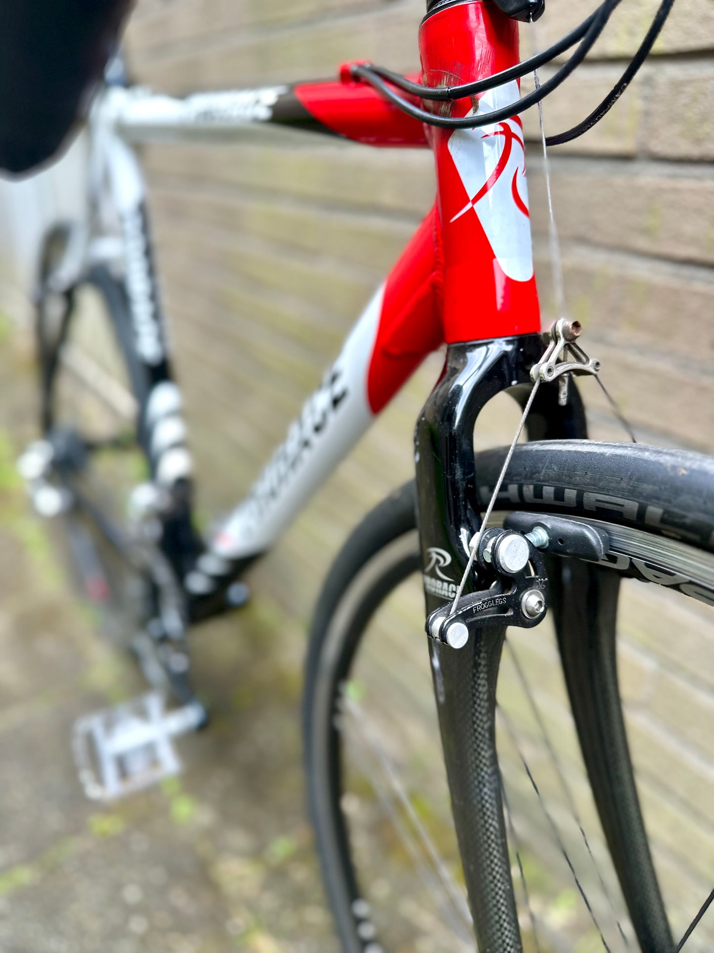 Prorace 56cm Campagnolo 10s