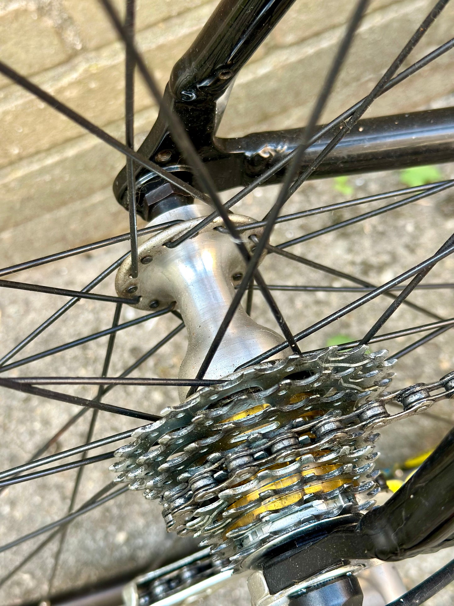 Giant OCR 56cm Campagnolo 9s