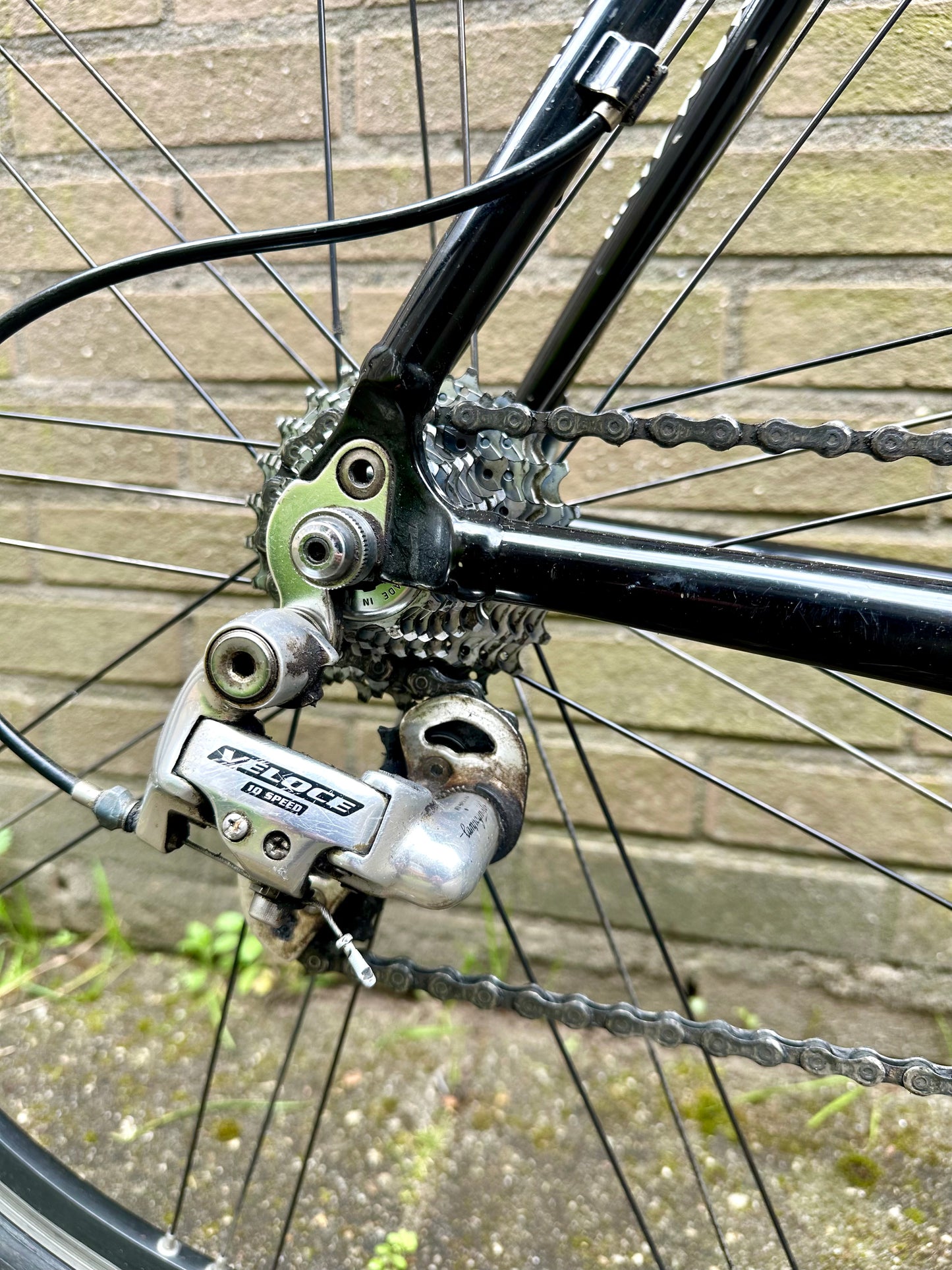 Prorace 56cm Campagnolo 10s