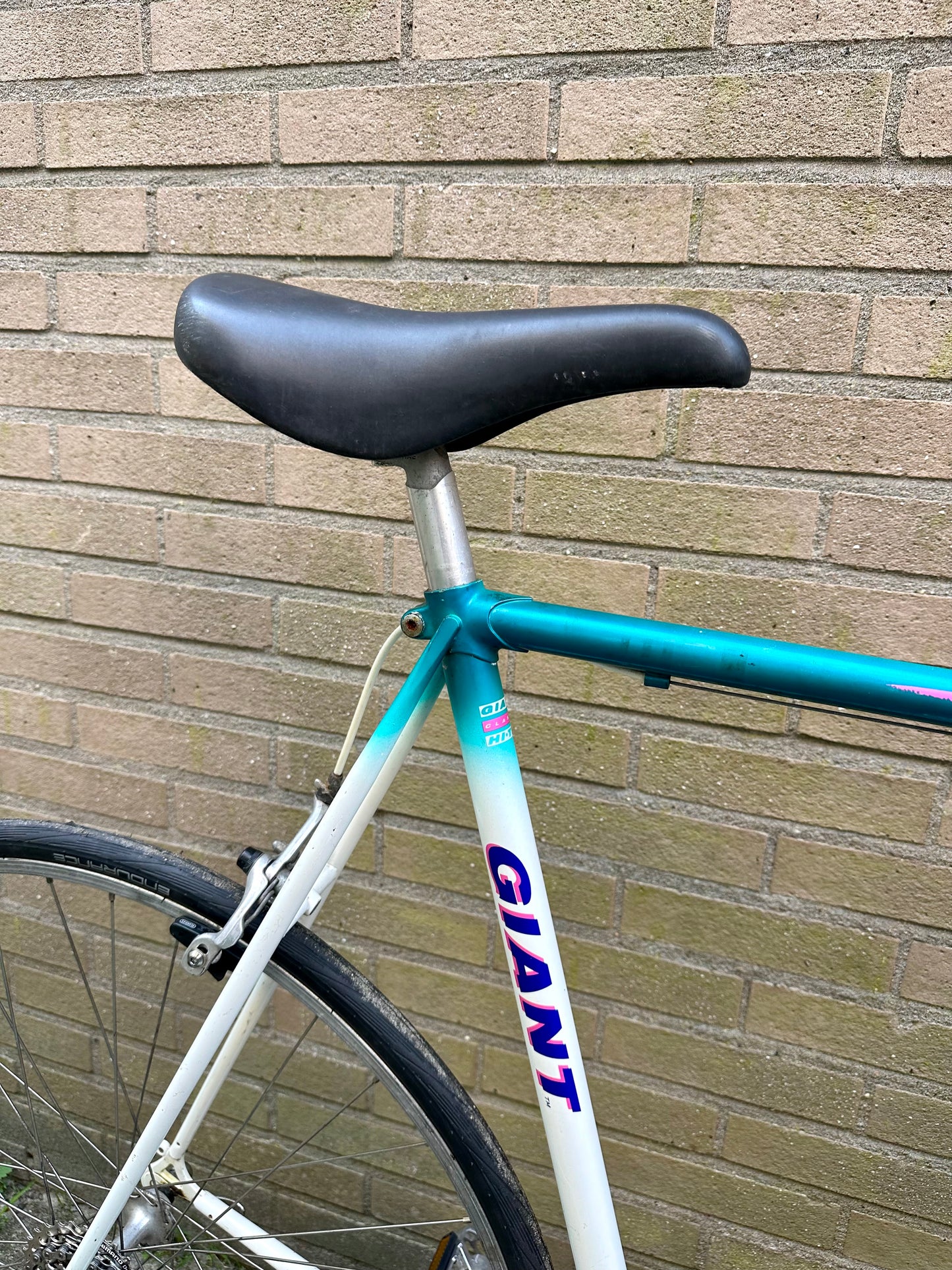 Giant Speeder 63cm