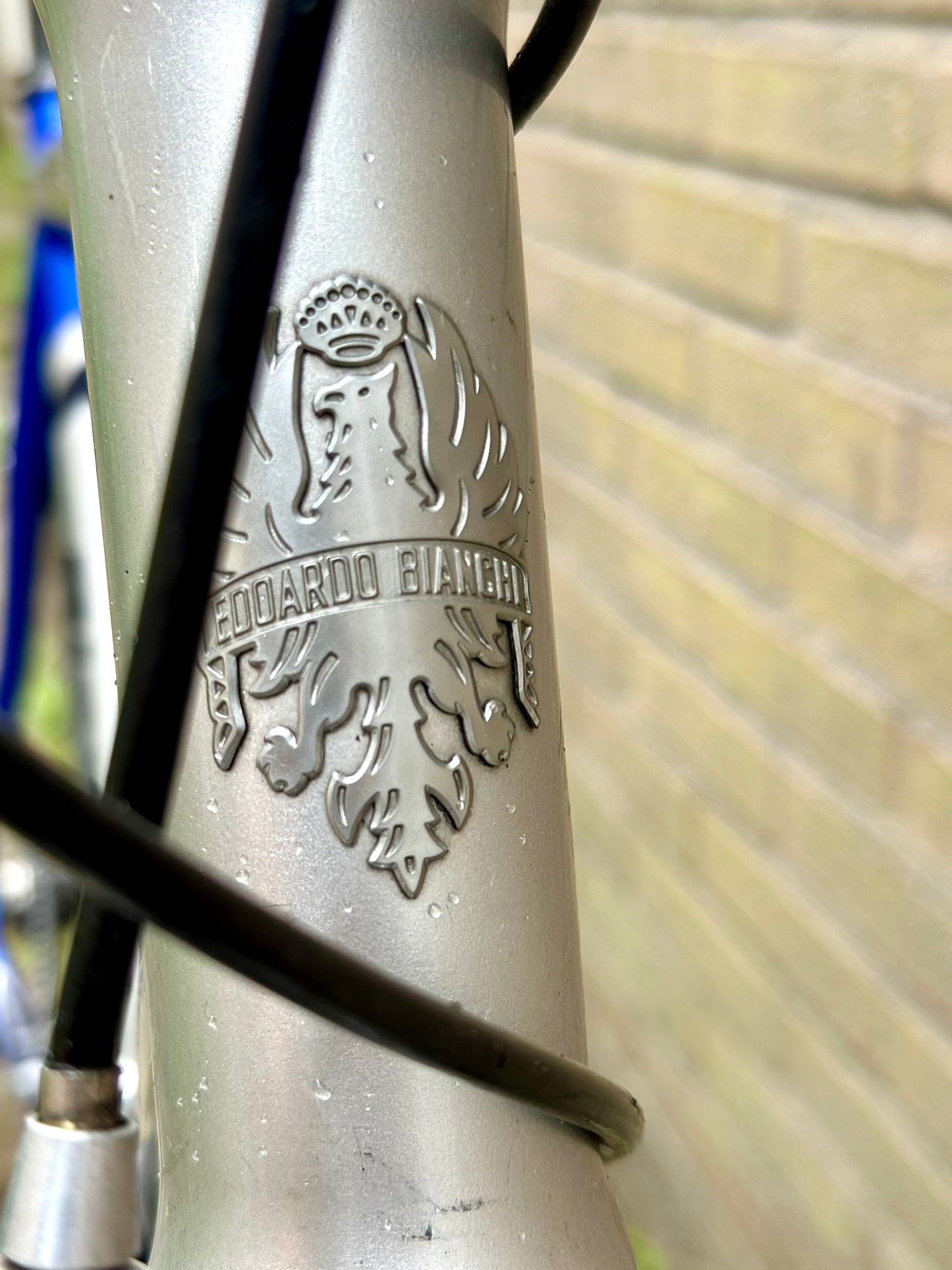 Bianchi Nirone 56cm