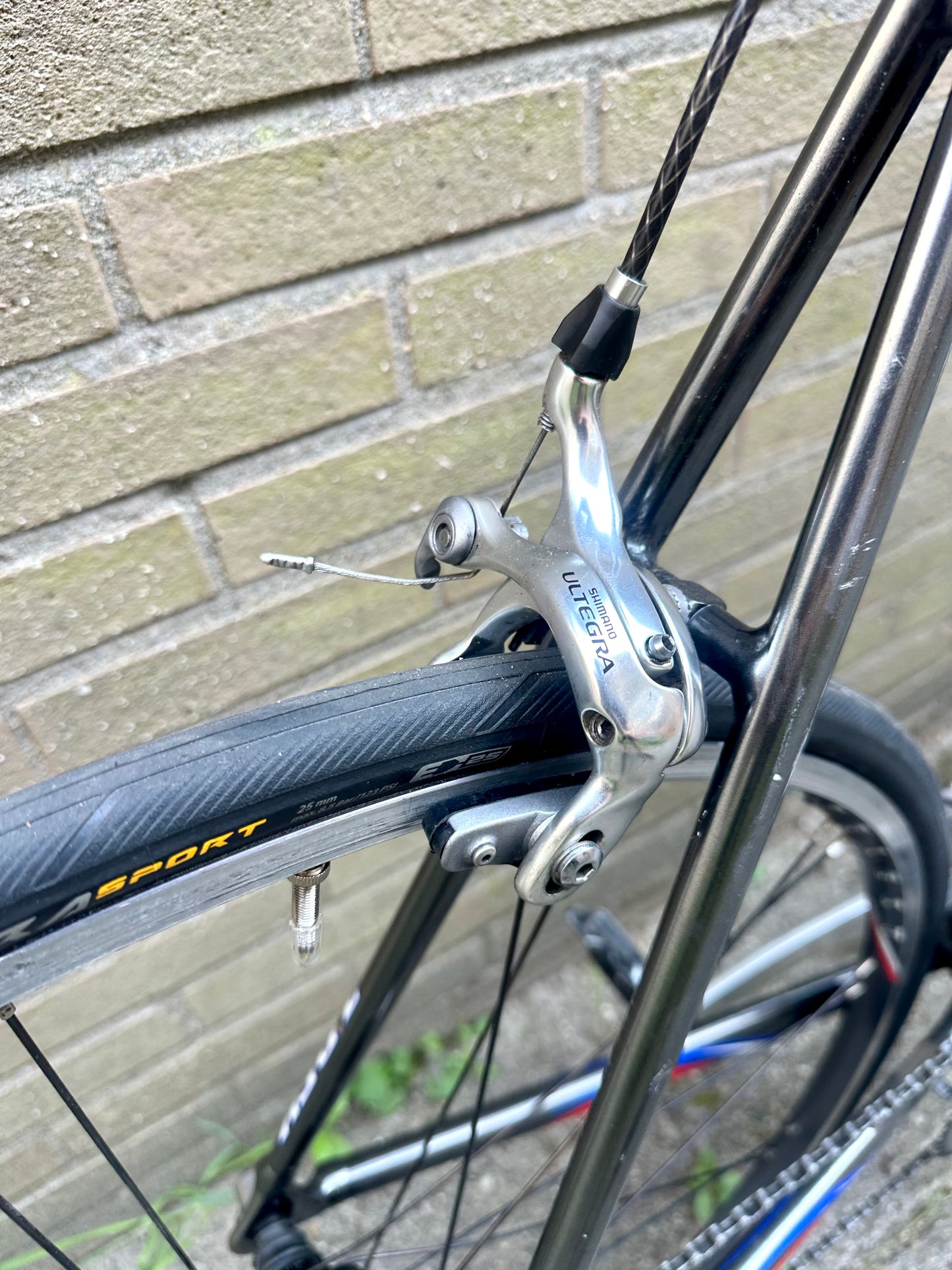 Trek SLR 58cm Ultegra 10s