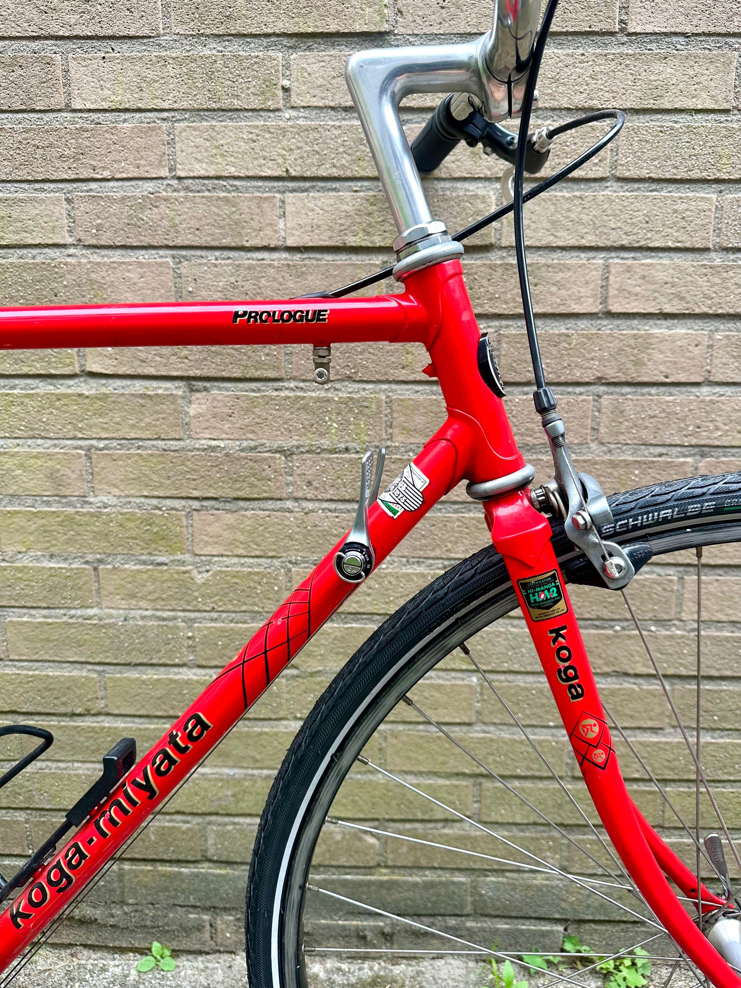 Koga Miyata Prologue 54cm