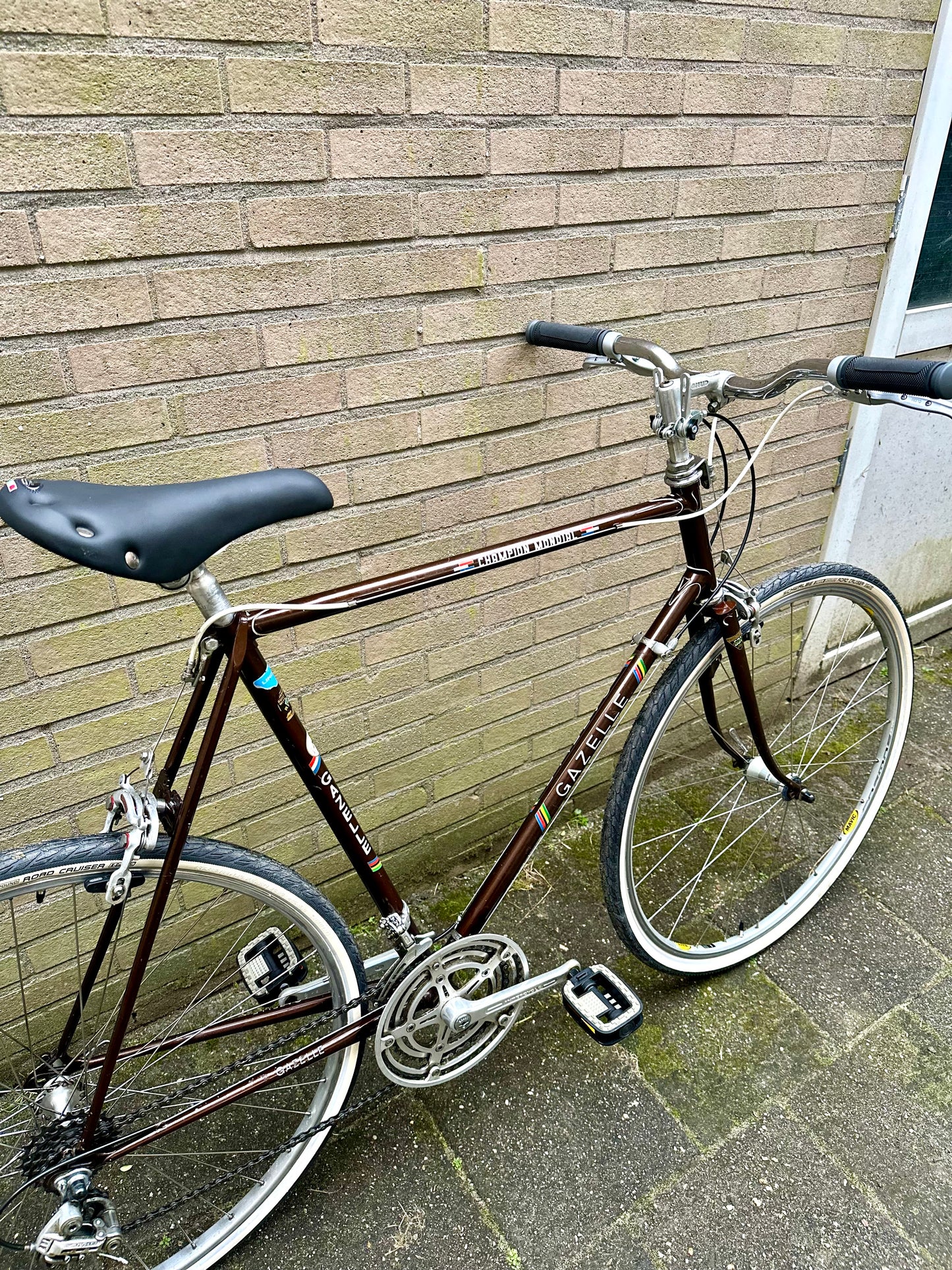 70's Gazelle Champion Mondial 60cm