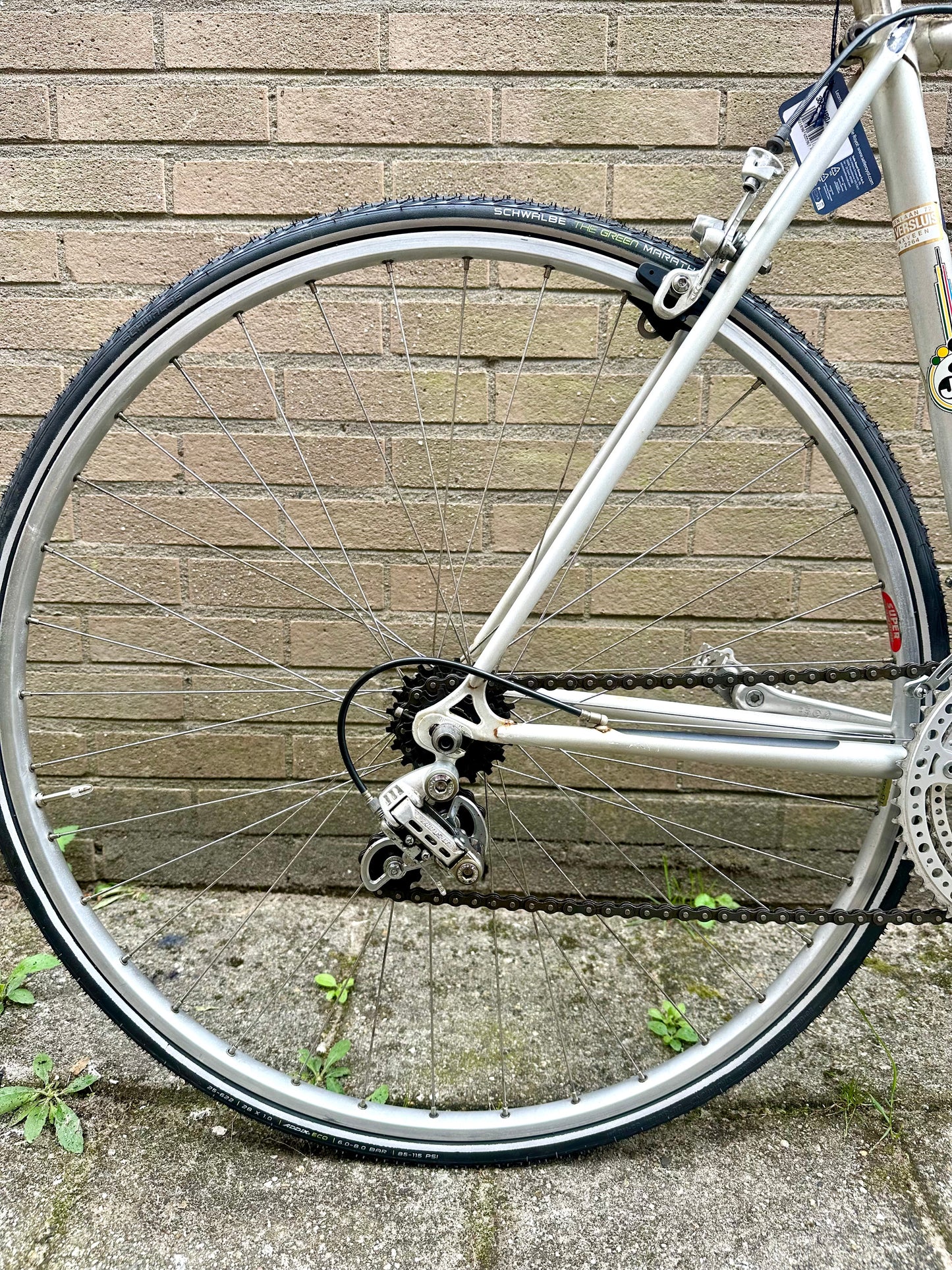 Jan Jansen Tour de France 50cm