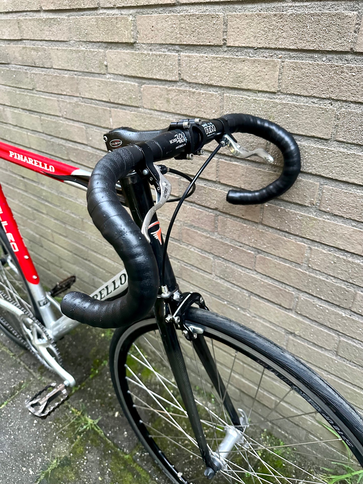 Pinarello Galileo single speed