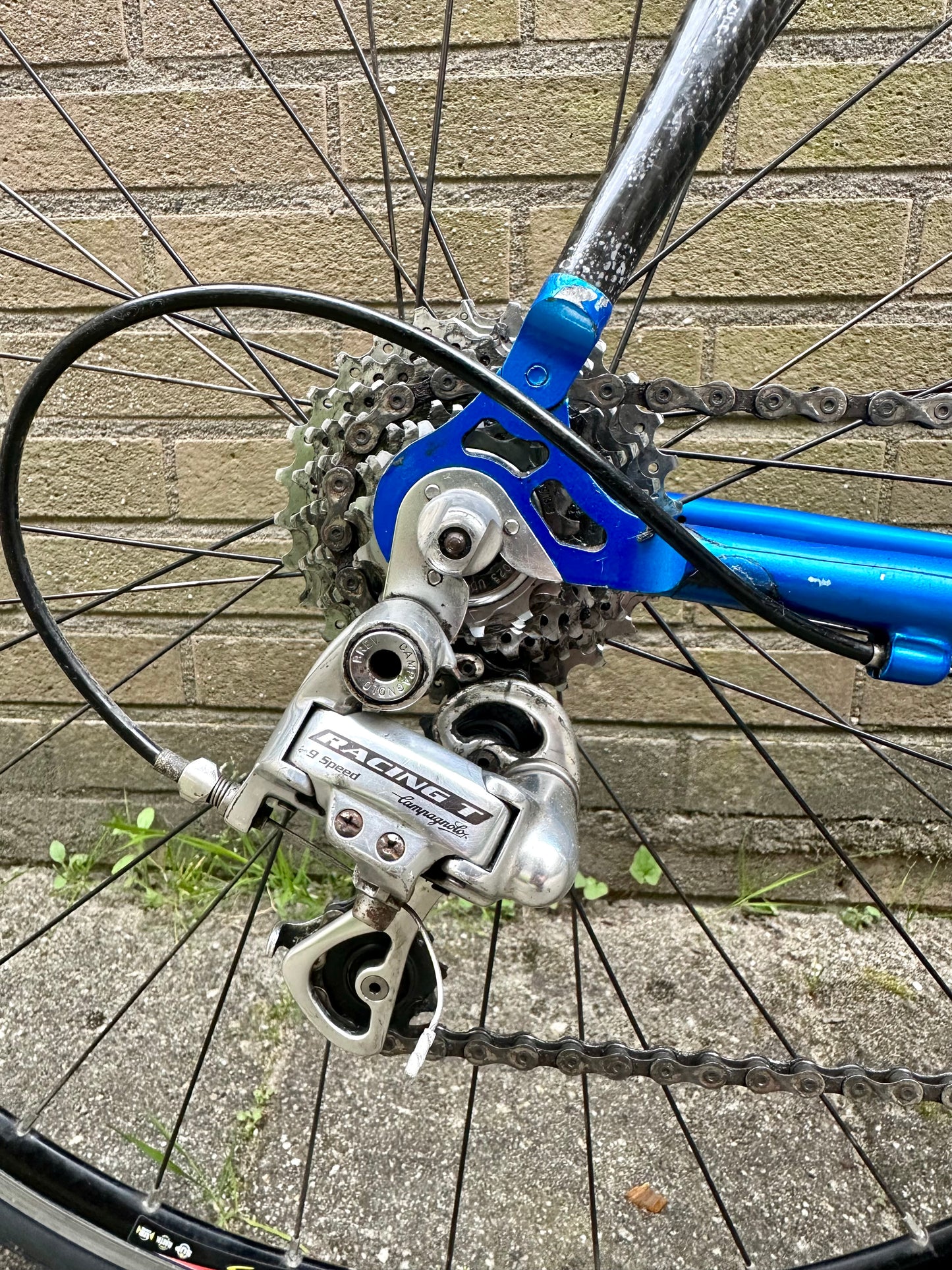 Van Tuyl 61cm