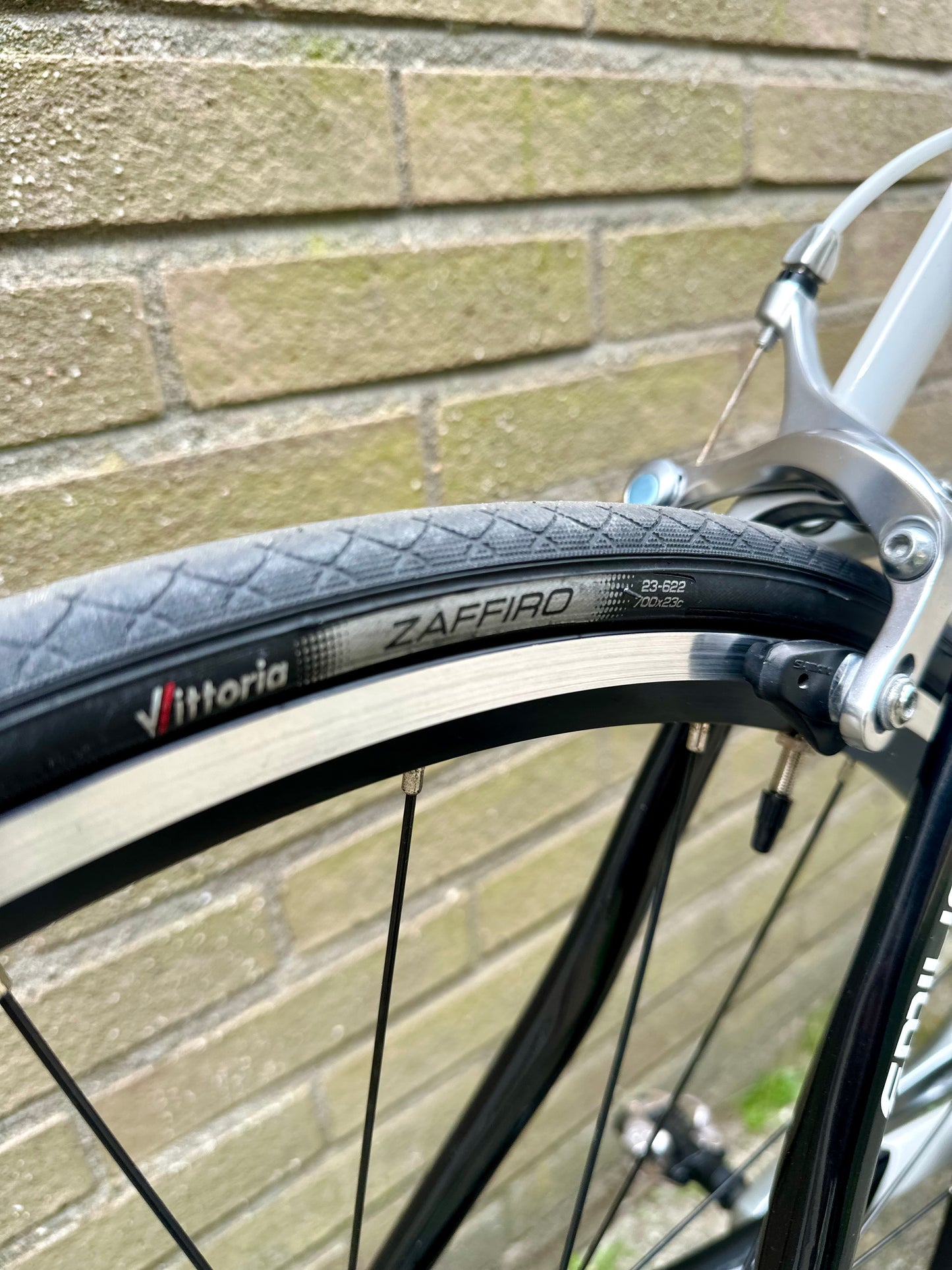 Giani Motta 56cm
