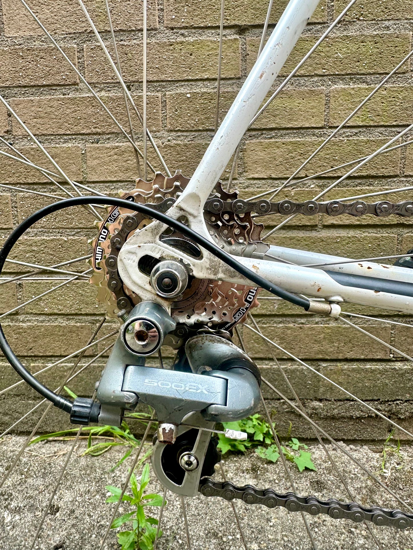 Concorde Classic 54cm