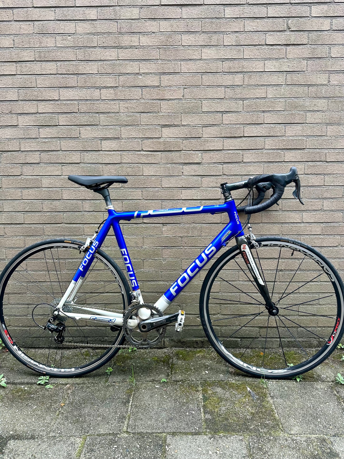 Focus Izalco Expert 58cm Campagnolo Chorus
