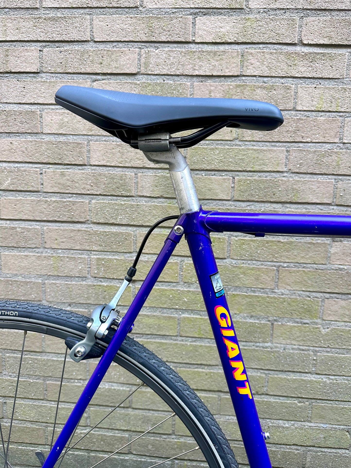 Giant Peloton Lite 56cm