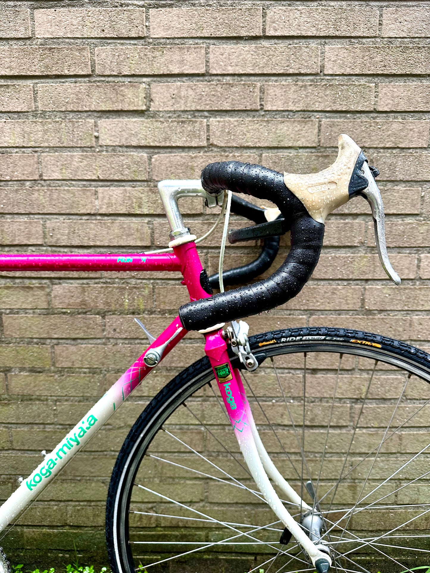 Koga Miyata Runner 54cm