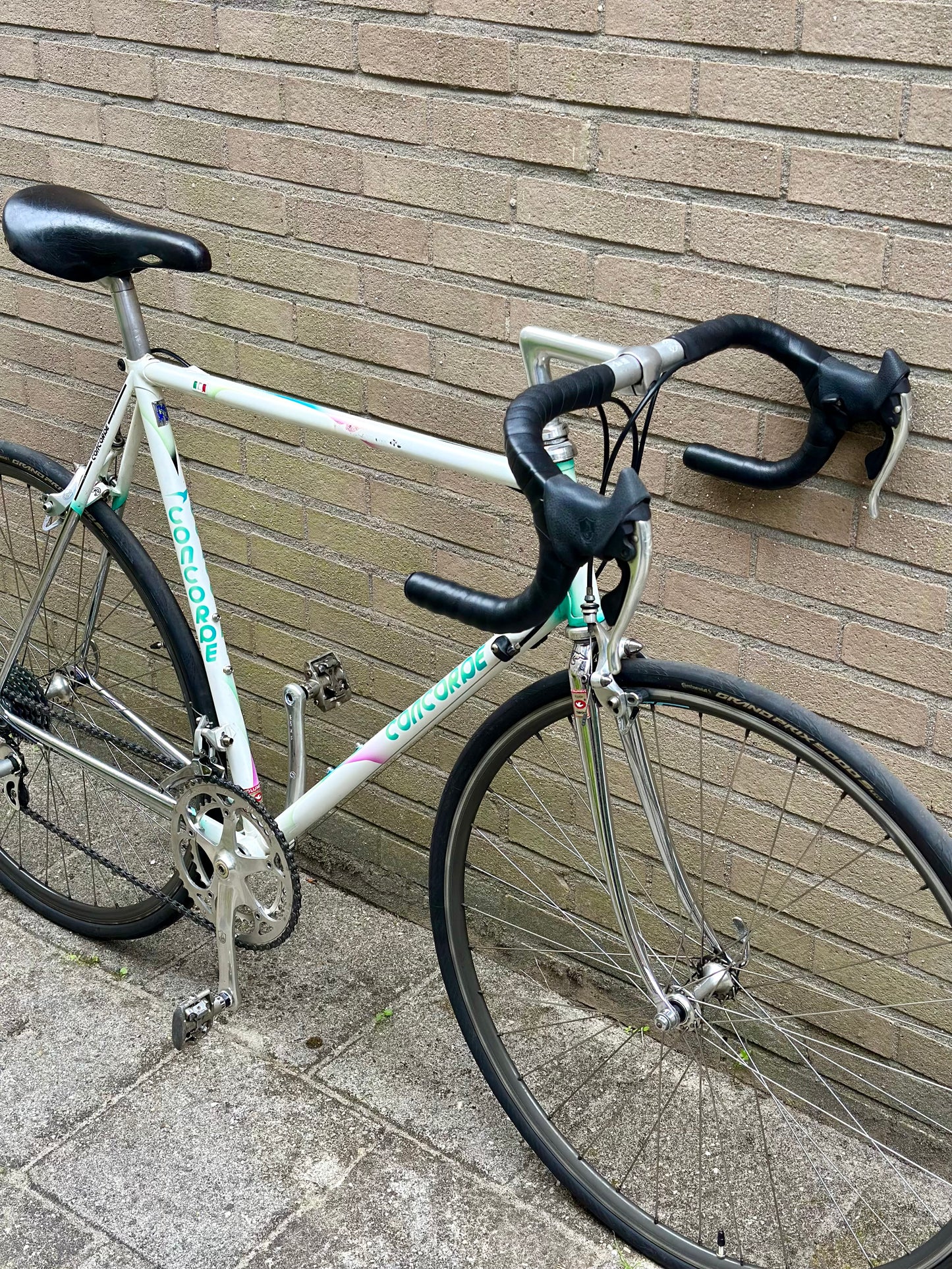 Concorde Columbus Thron 59cm