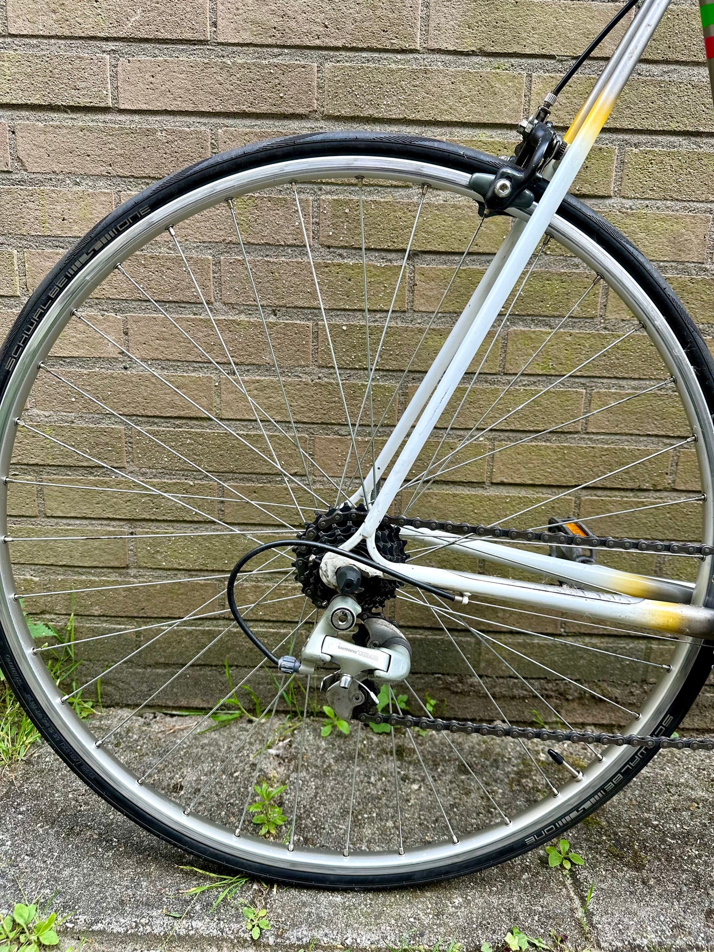 Concorde 60cm