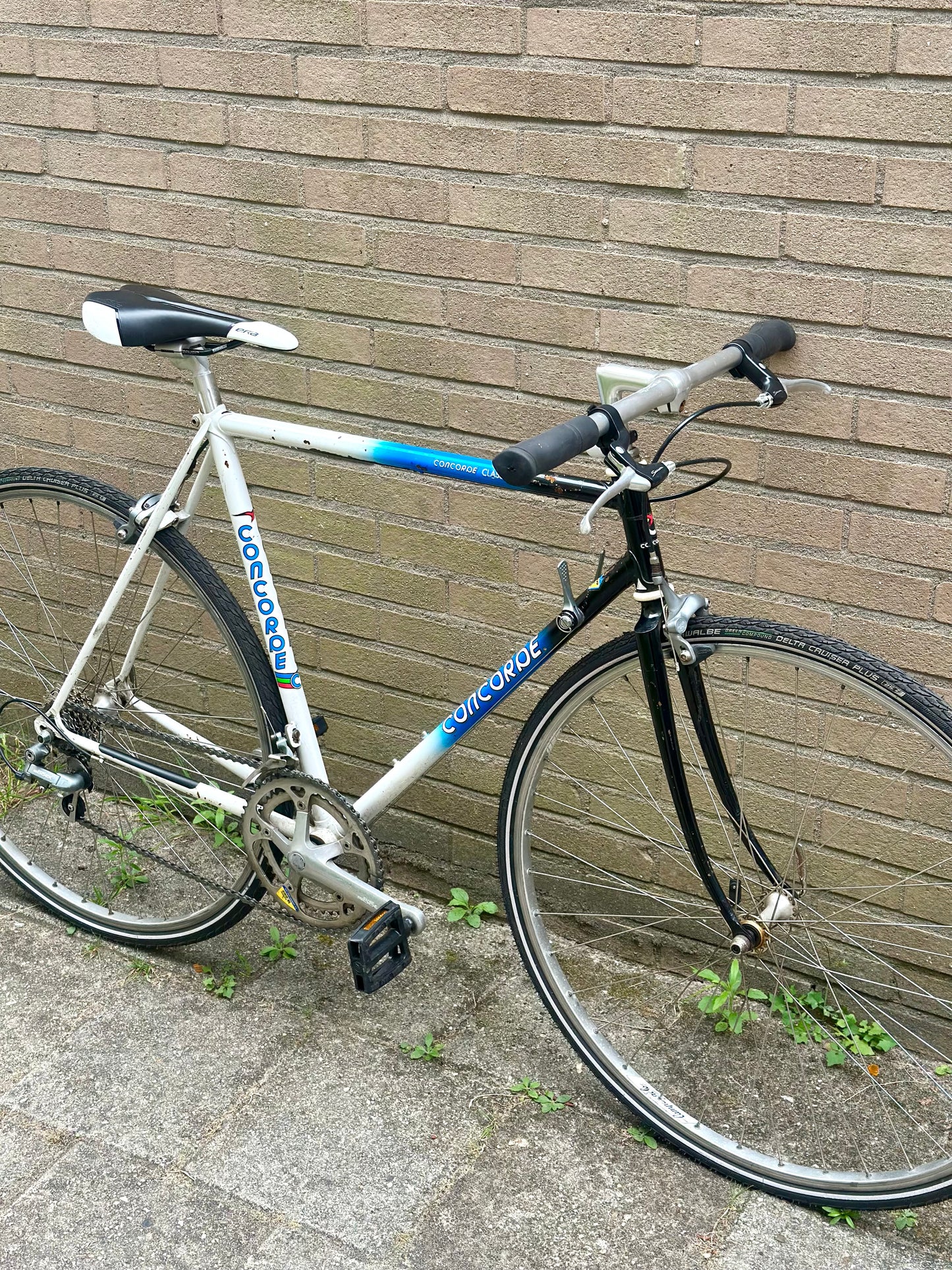 Concorde Classic 54cm