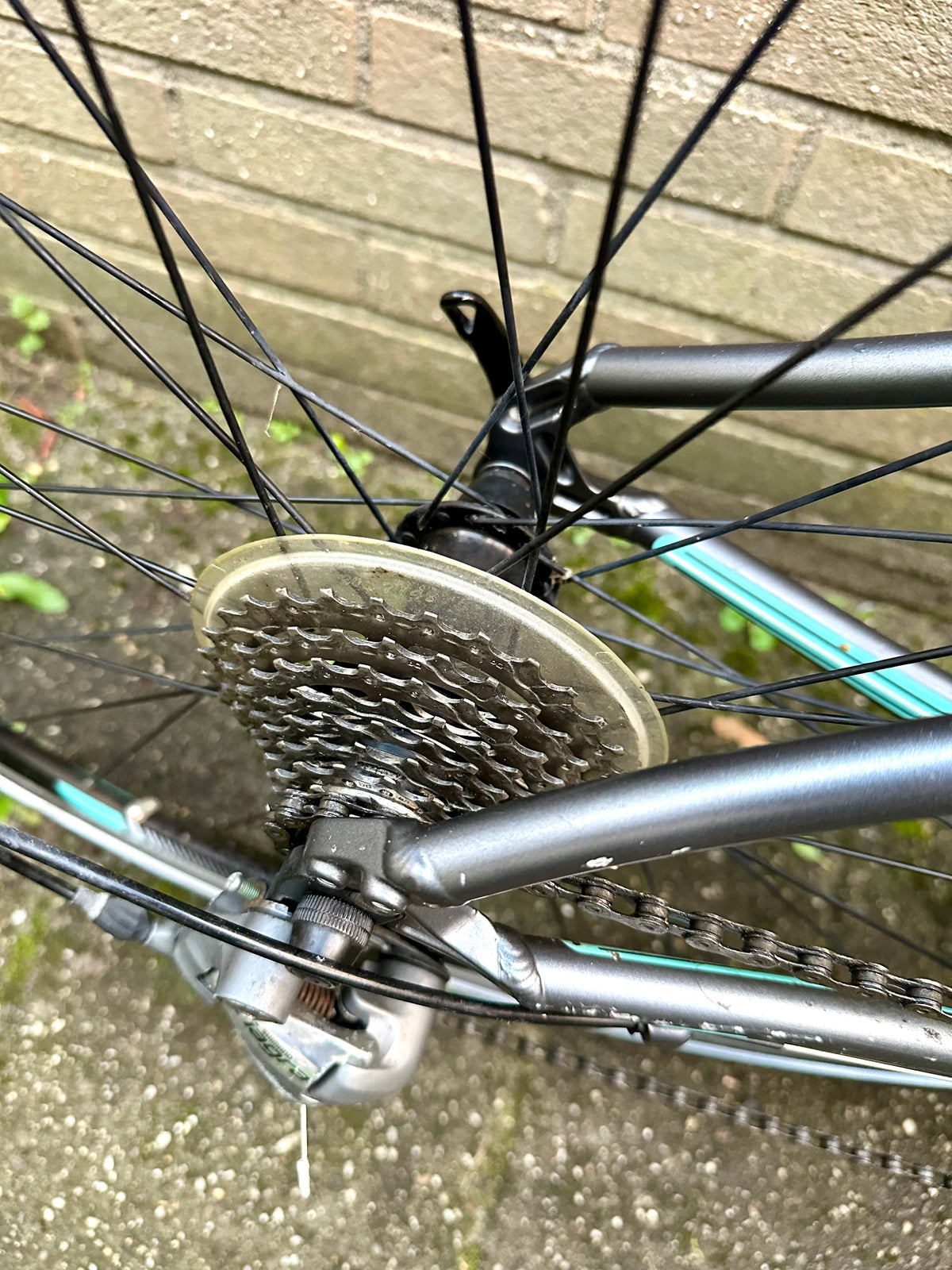 Specialized Vita Elite 42cm Sora