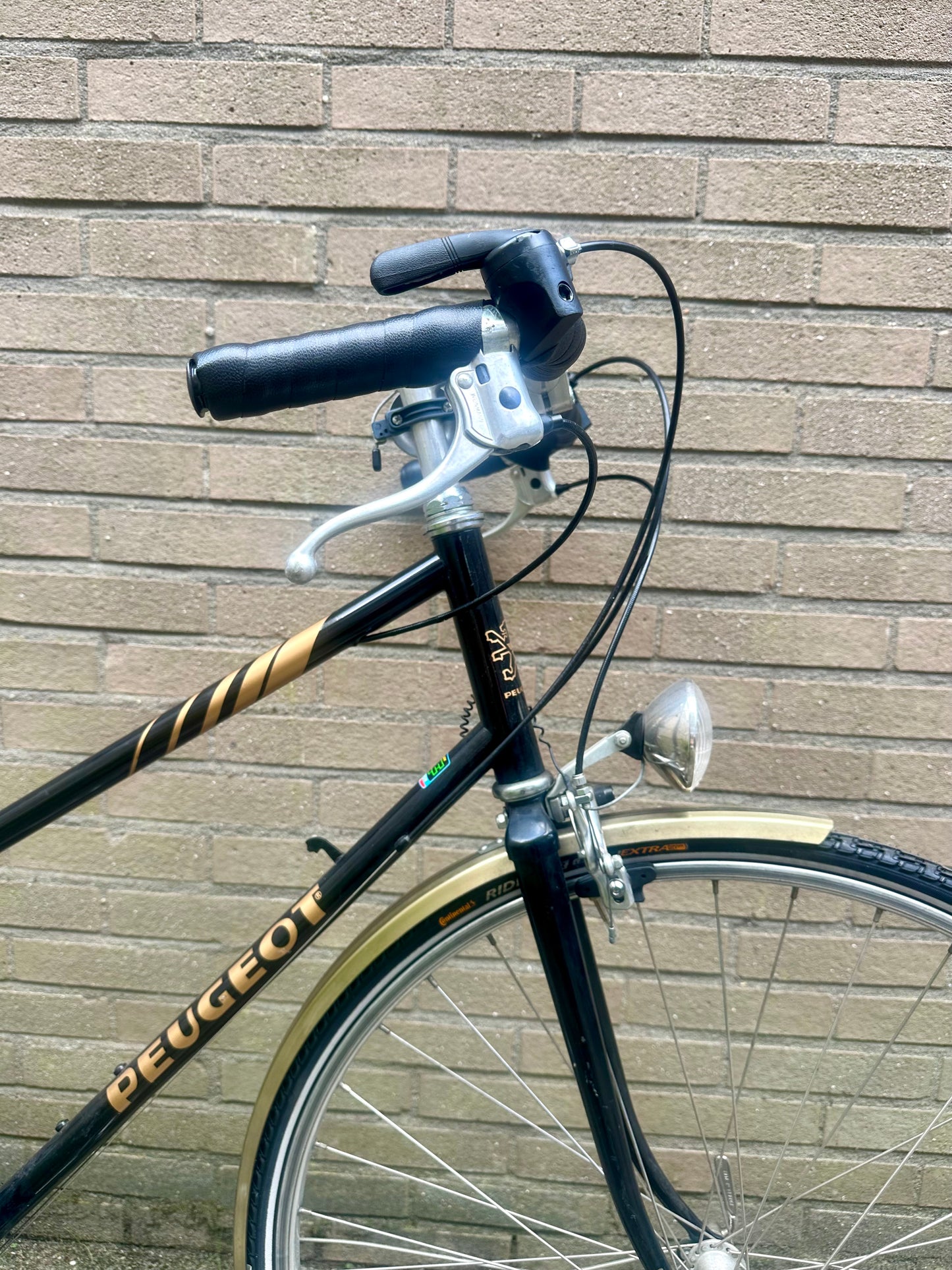 Peugeout Champagne Mixte 56cm