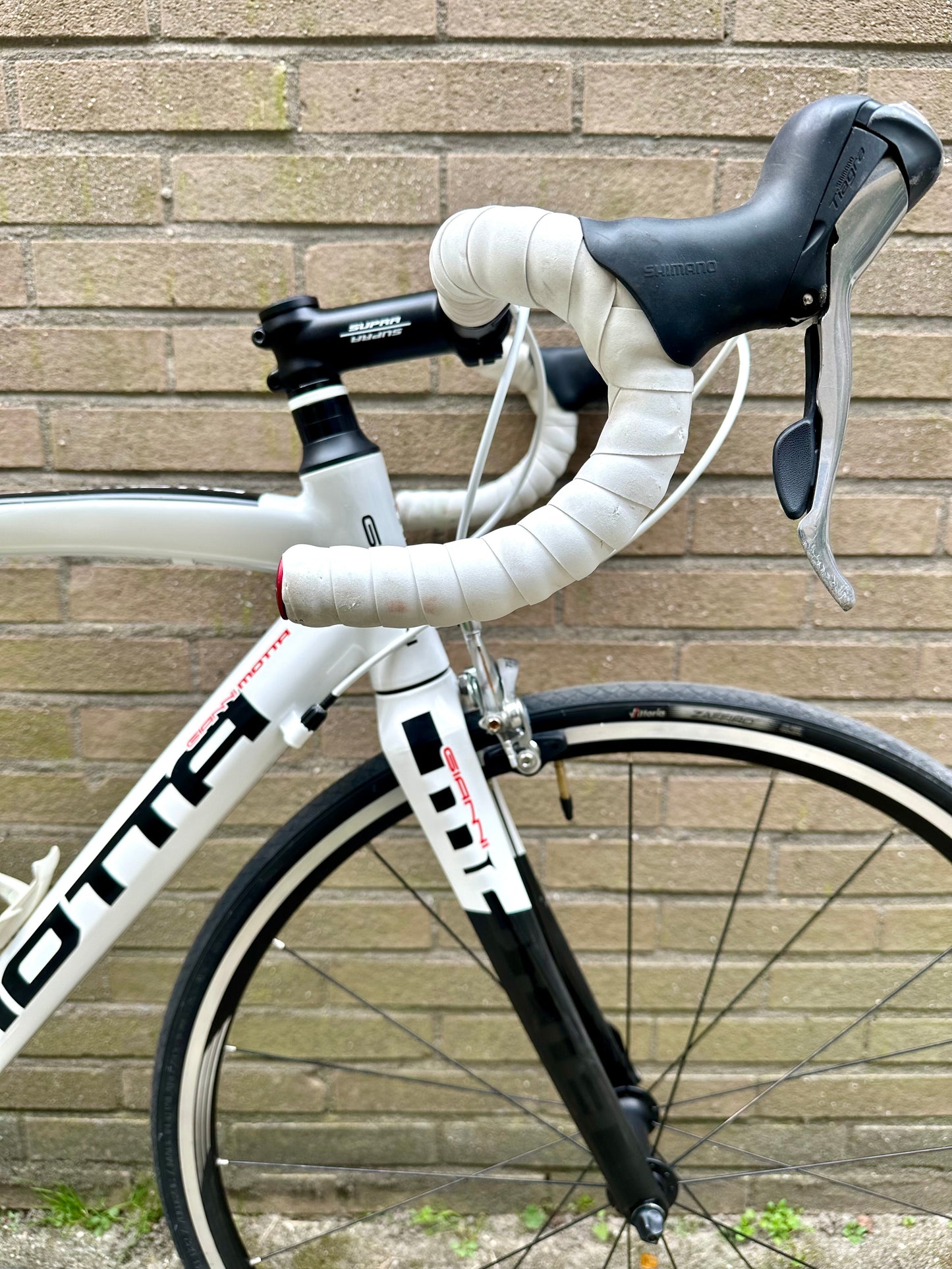 Giani Motta 56cm
