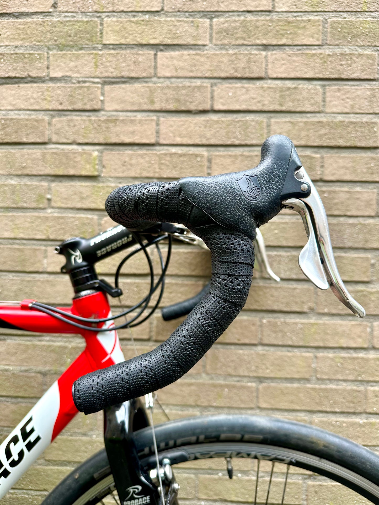 Prorace 56cm Campagnolo 10s