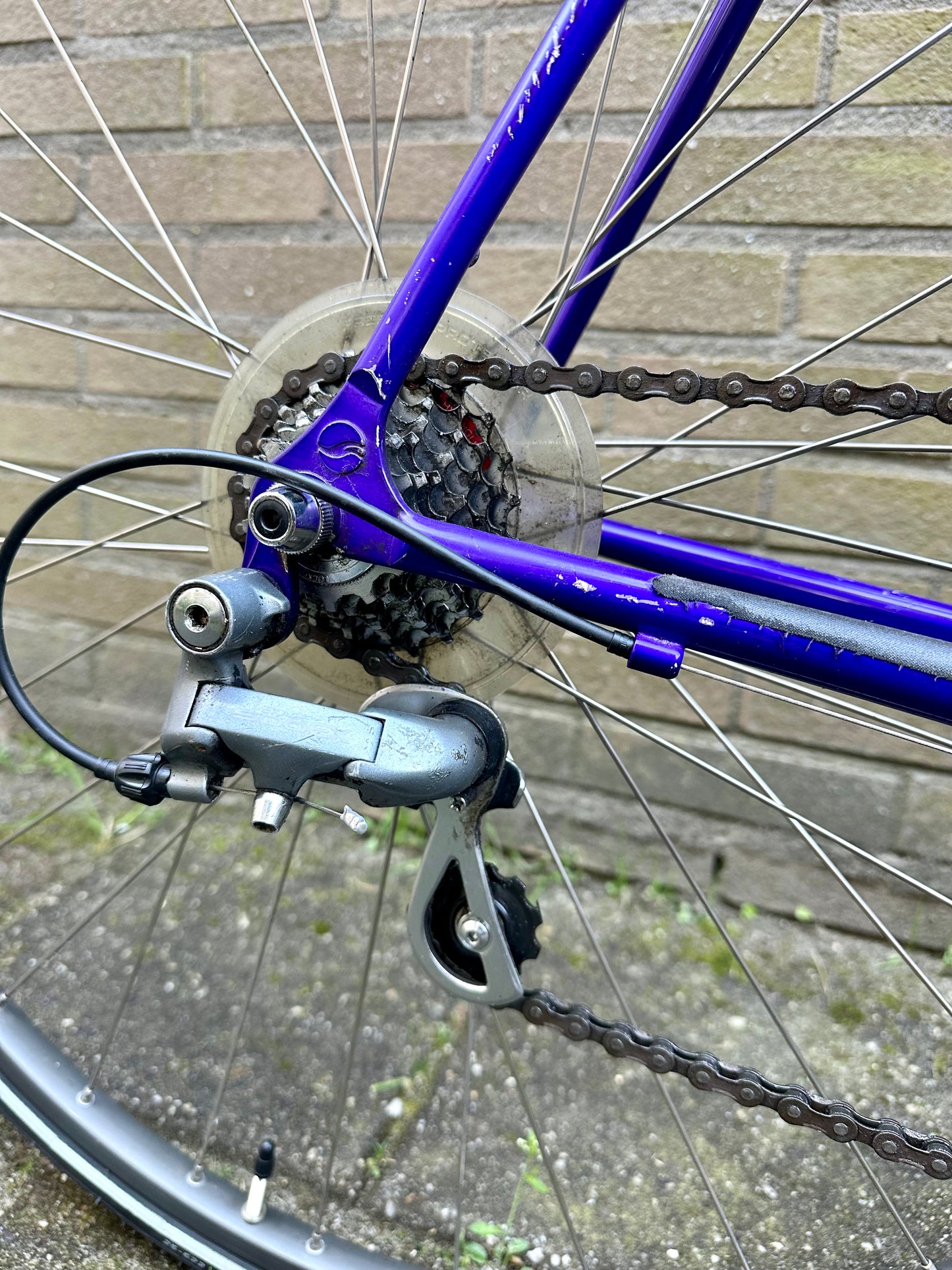 Giant Peloton Lite 56cm
