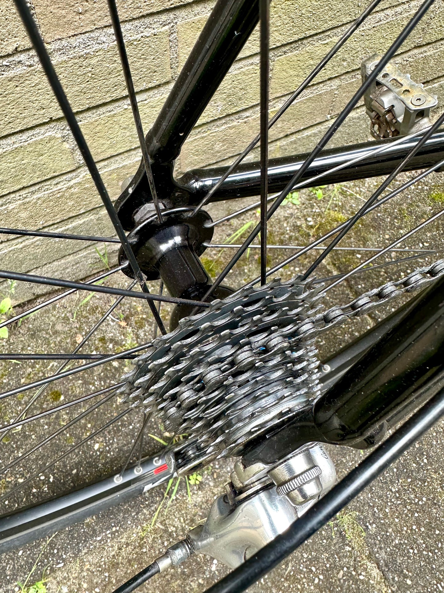 Prorace 56cm Campagnolo 10s