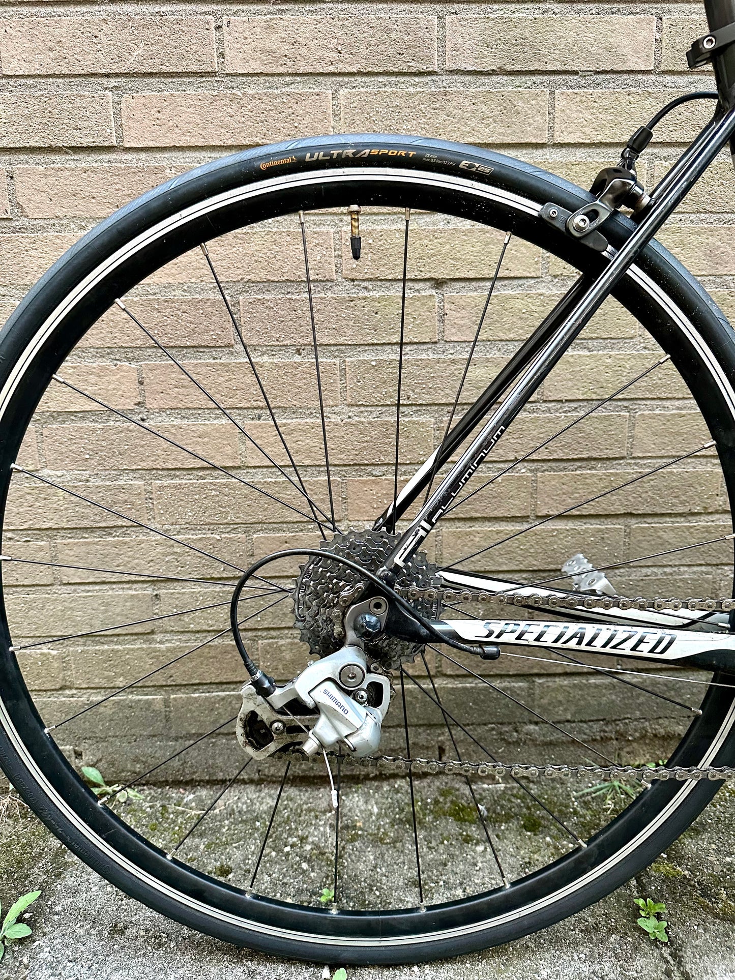 Specialized Allez 46cm