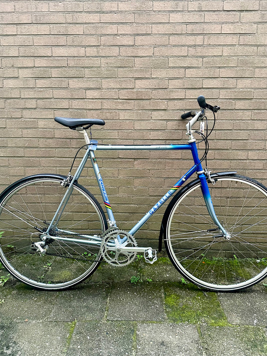 Gazelle Trim Trophy 60cm